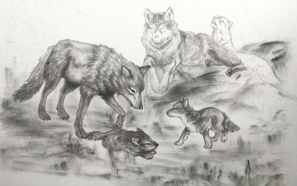 pack of wolves drawing