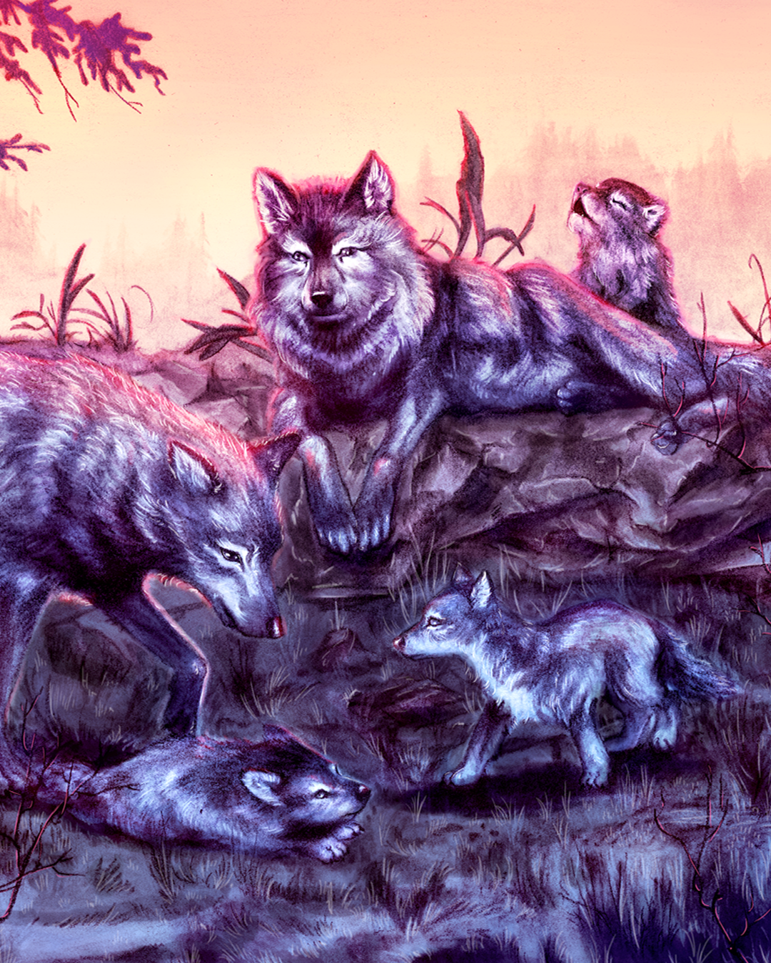 pack of wolves drawing