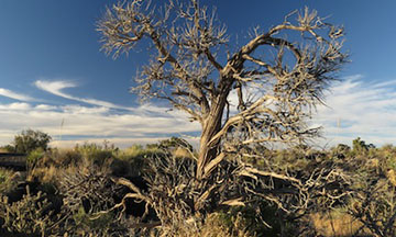 Valley of Fires Campground & Recreation Area