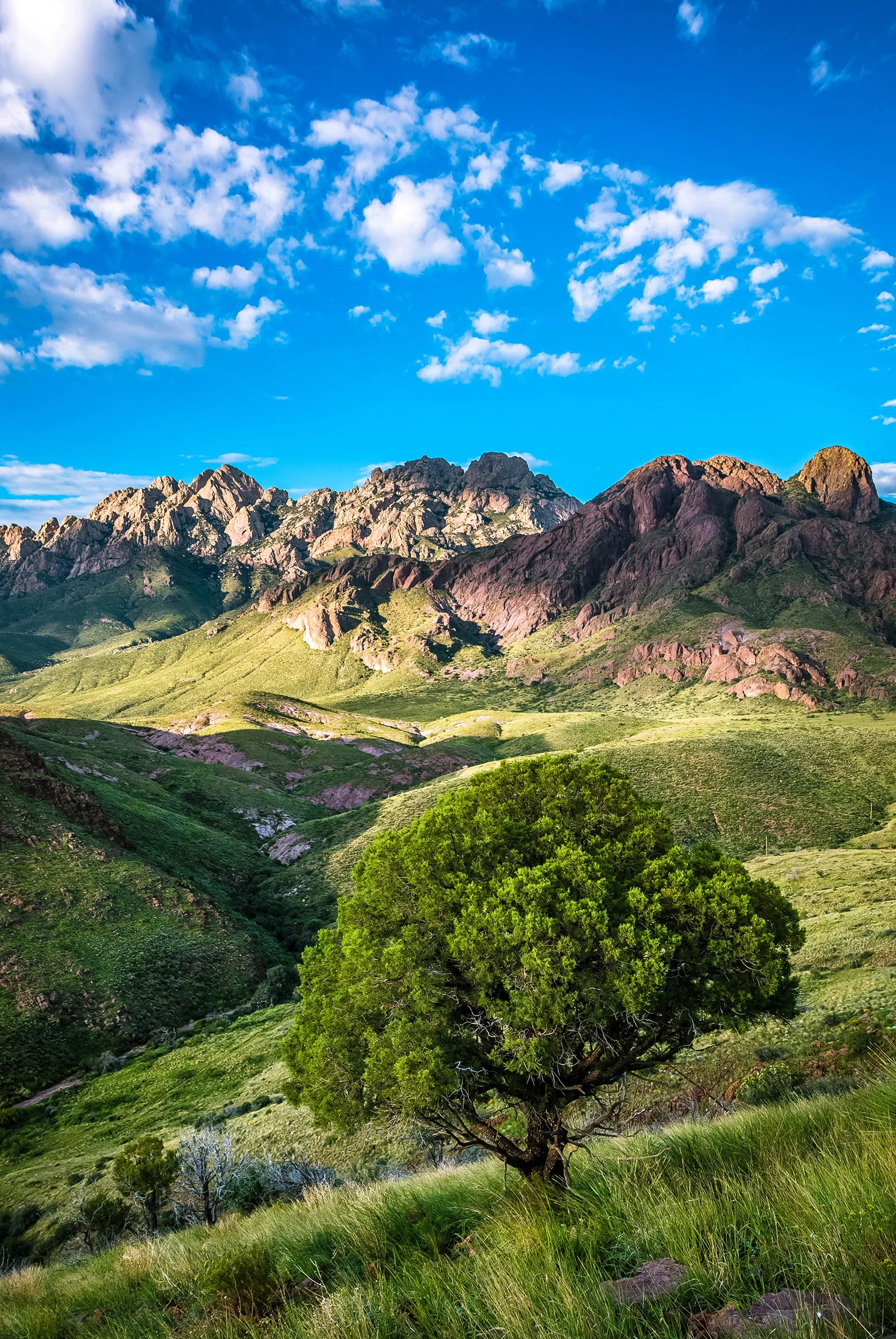 'Summer in the Mountains', 2nd Place Seasons , , Richard Larsson