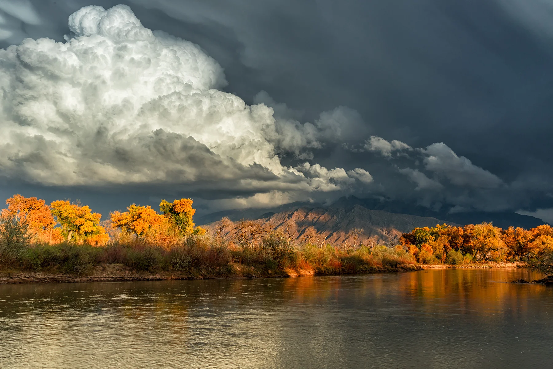 'Autumn Along the Rio Grande' , 3rd Place Seasons,, Steven Yabek