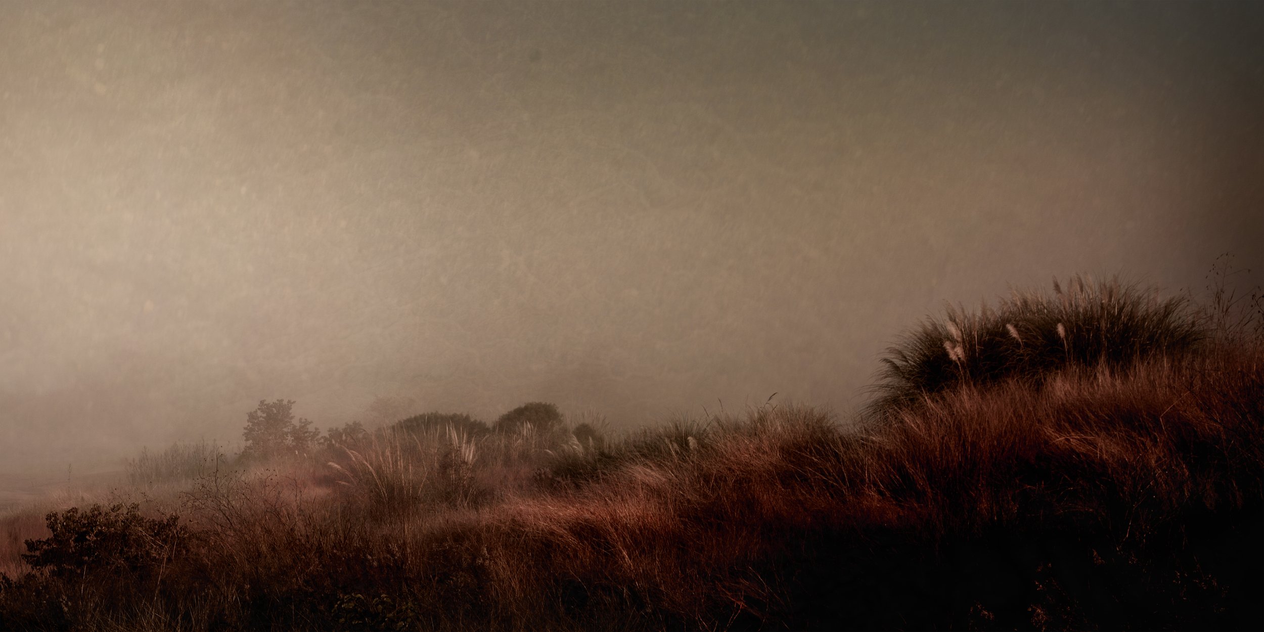 Pearland2C_nu crop copy 2.jpg