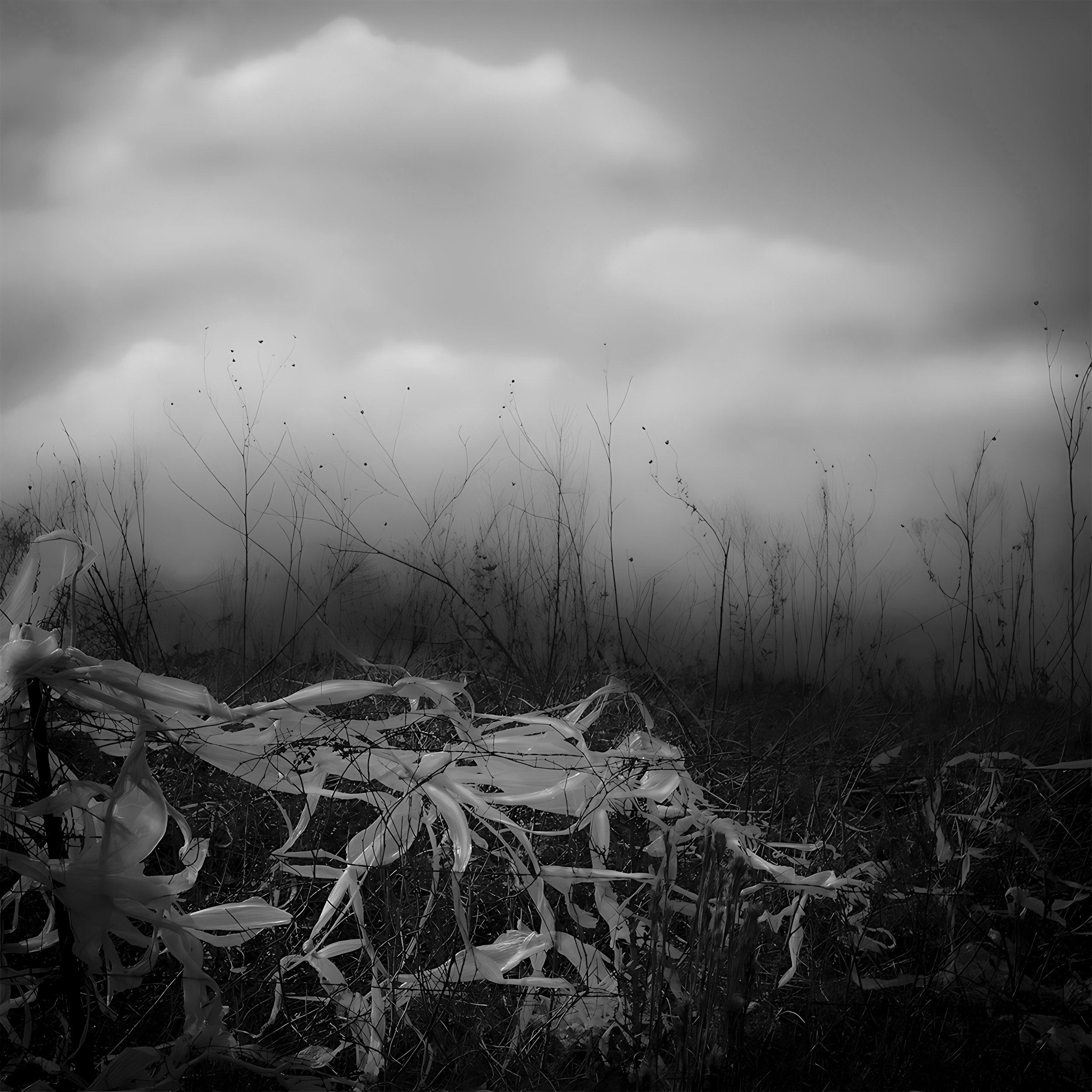 288 South.BW3 enhanced.jpg