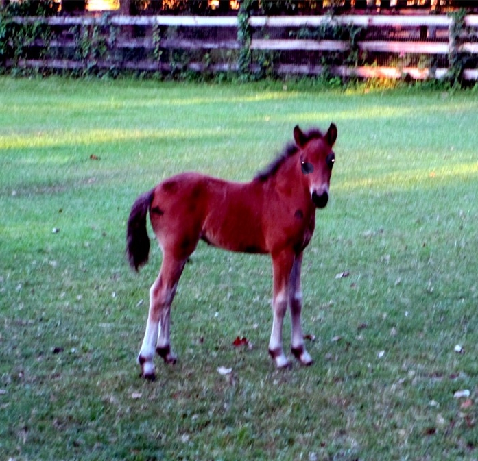 Louise Unbridled20.JPG