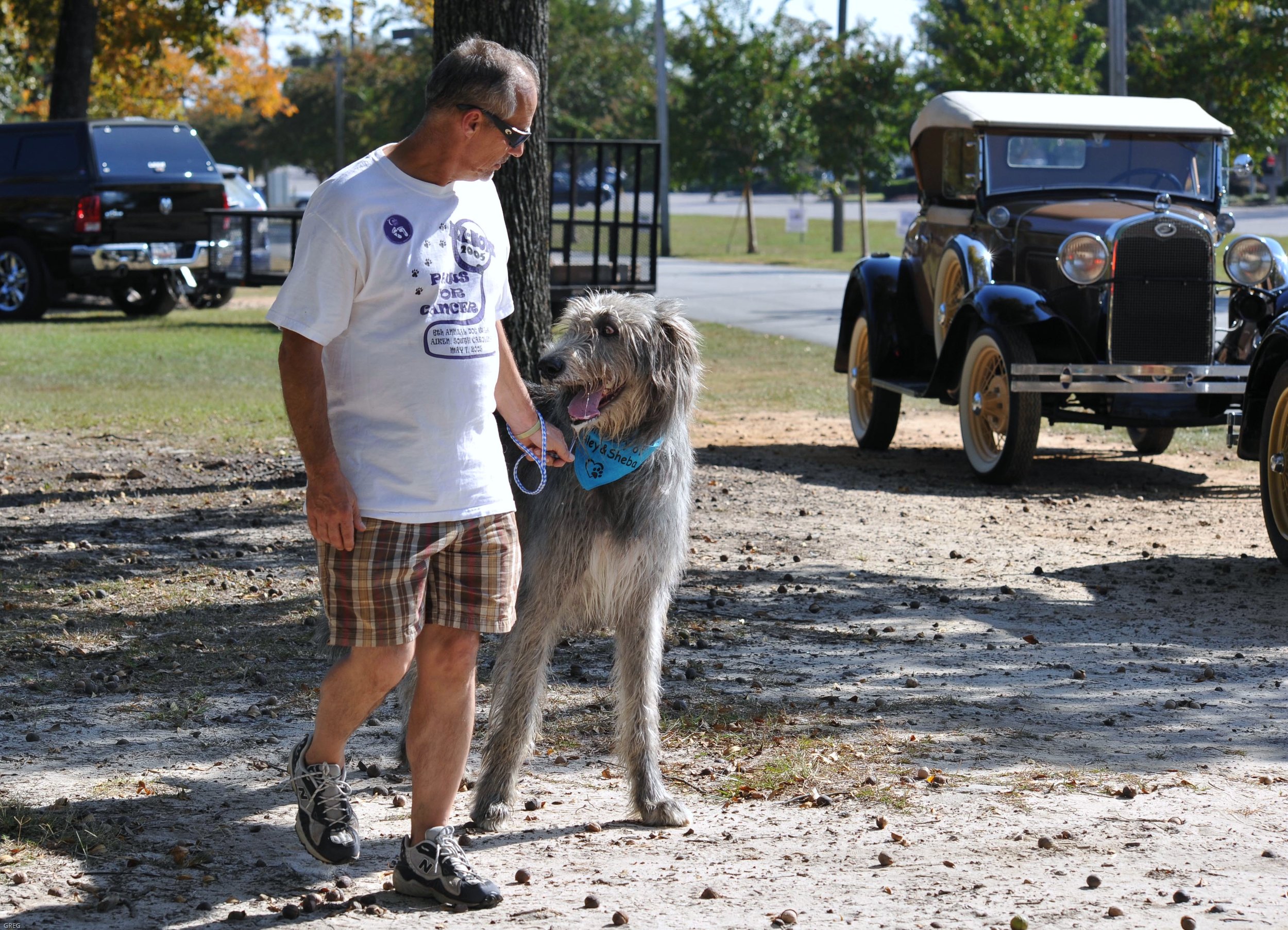 Paws for Causes 18.jpg