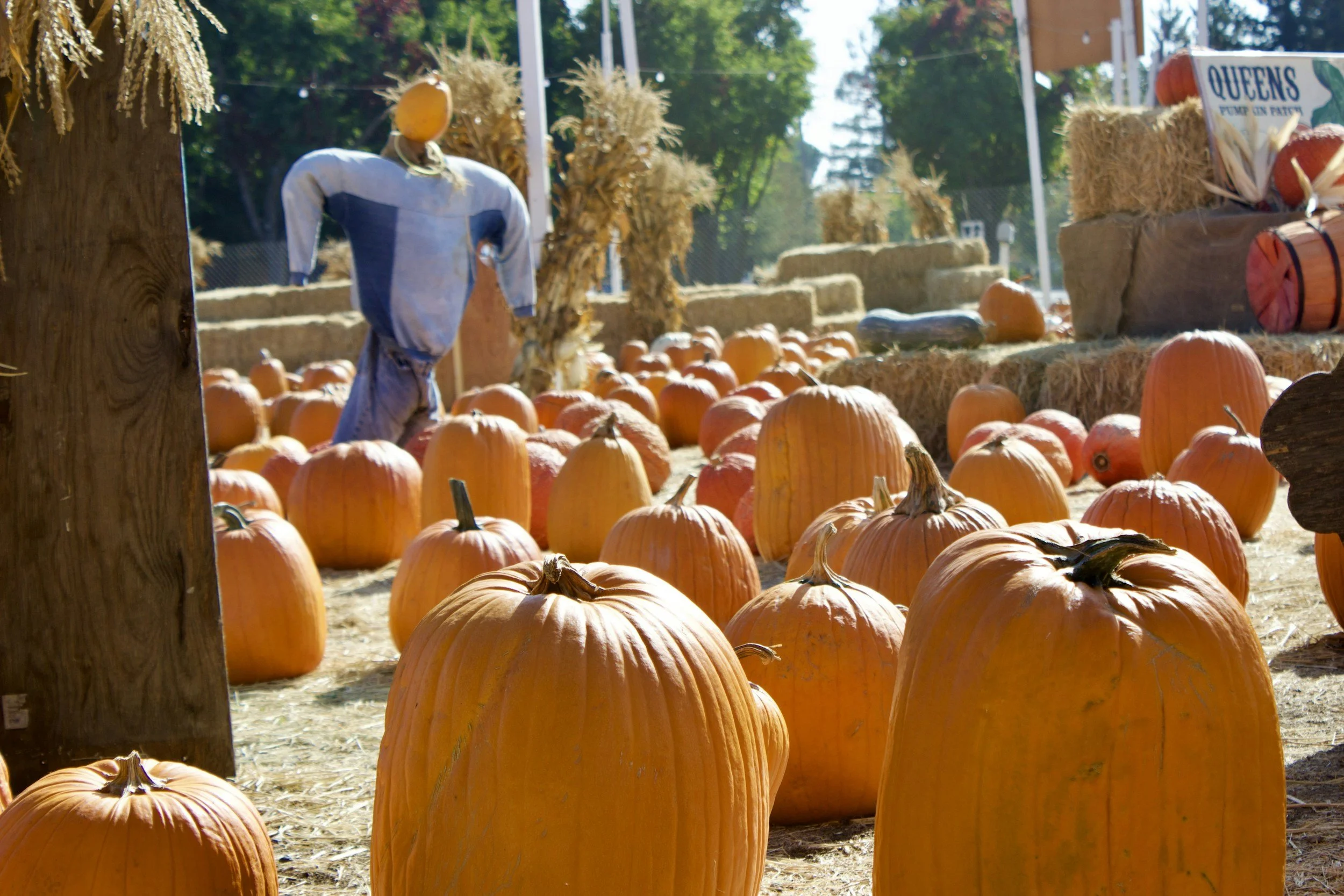 October 24th - Lighthouse Baptist Church Fall Festival
