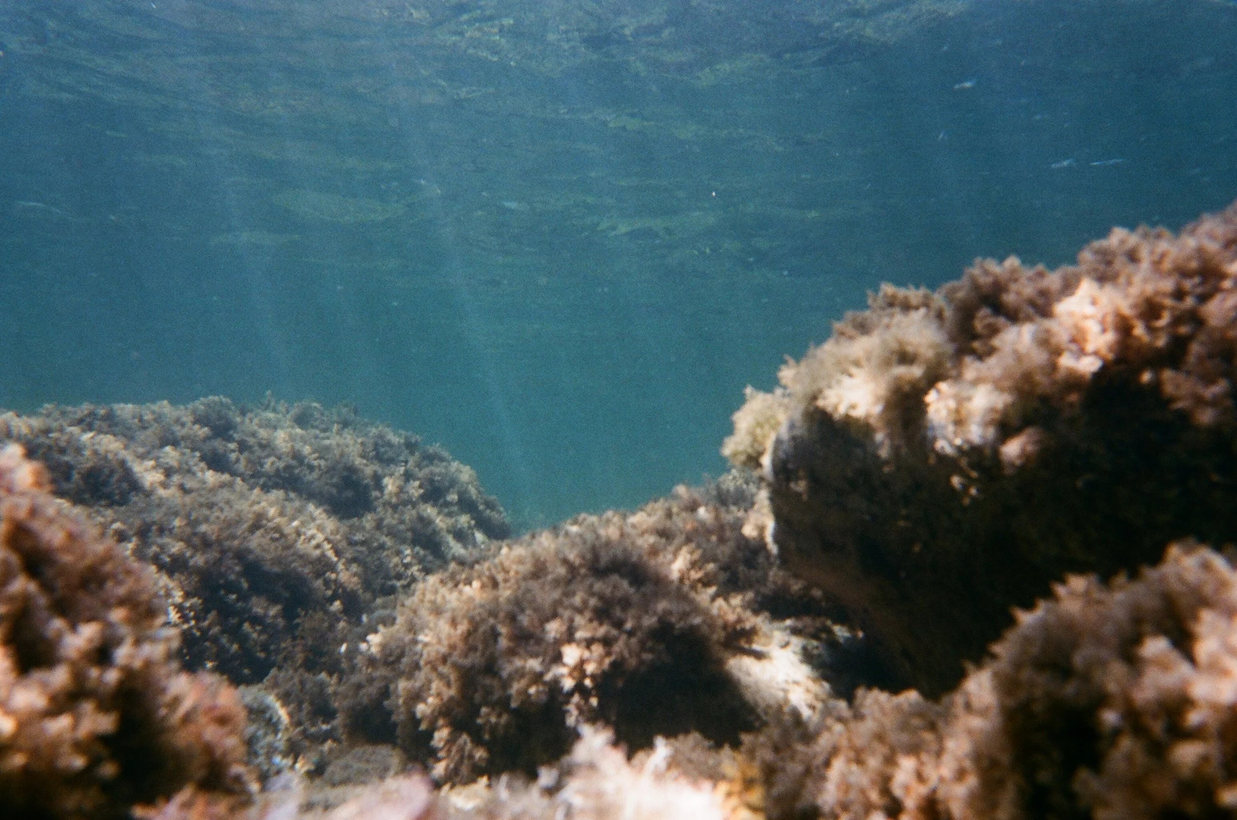 04140037.JPG
