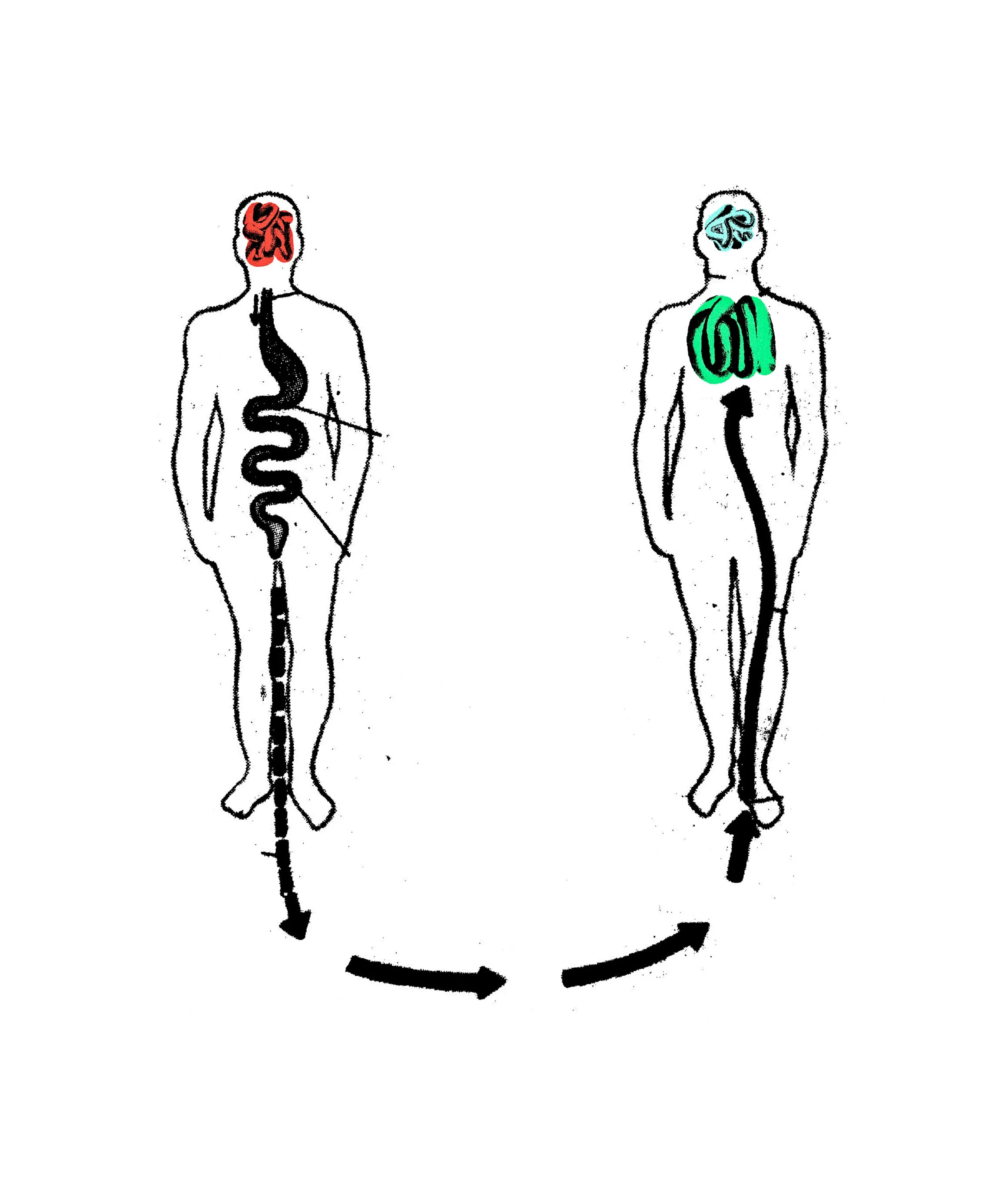board-conceptos.jpg