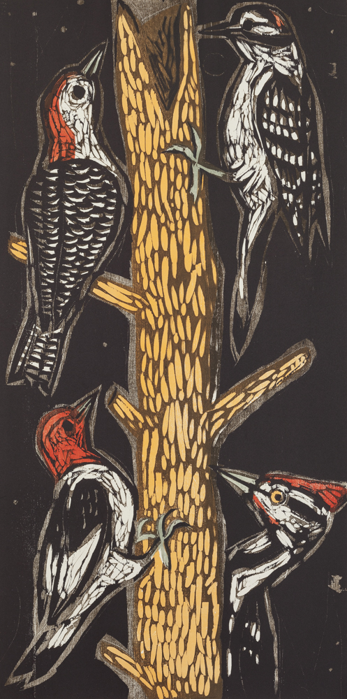 Pecking Order