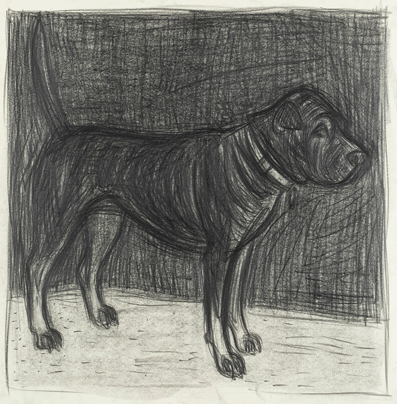 Dog Portrait 11
