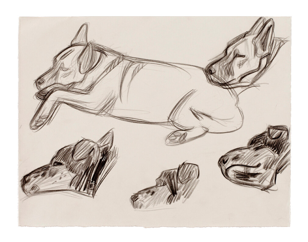 Sleeping Dog 6