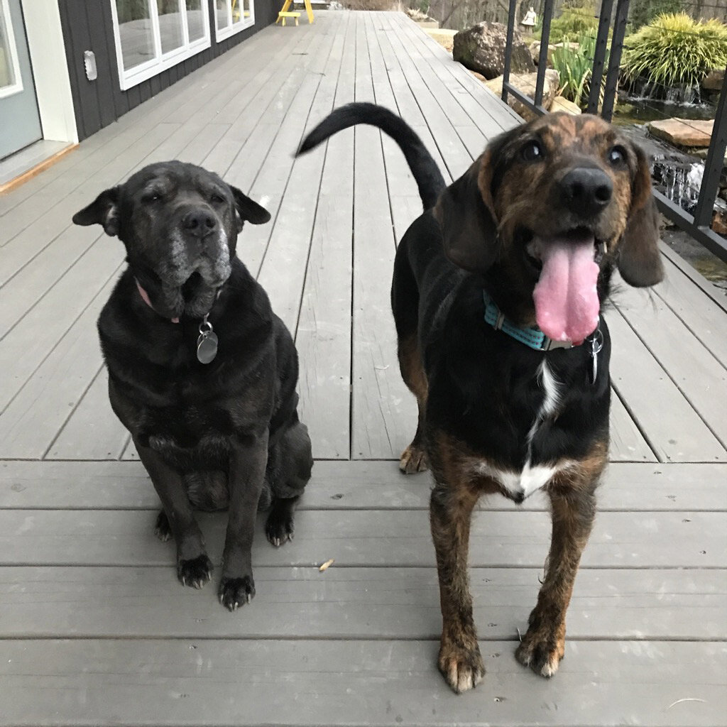  Spooky and Mr. Whipple on the studio deck 