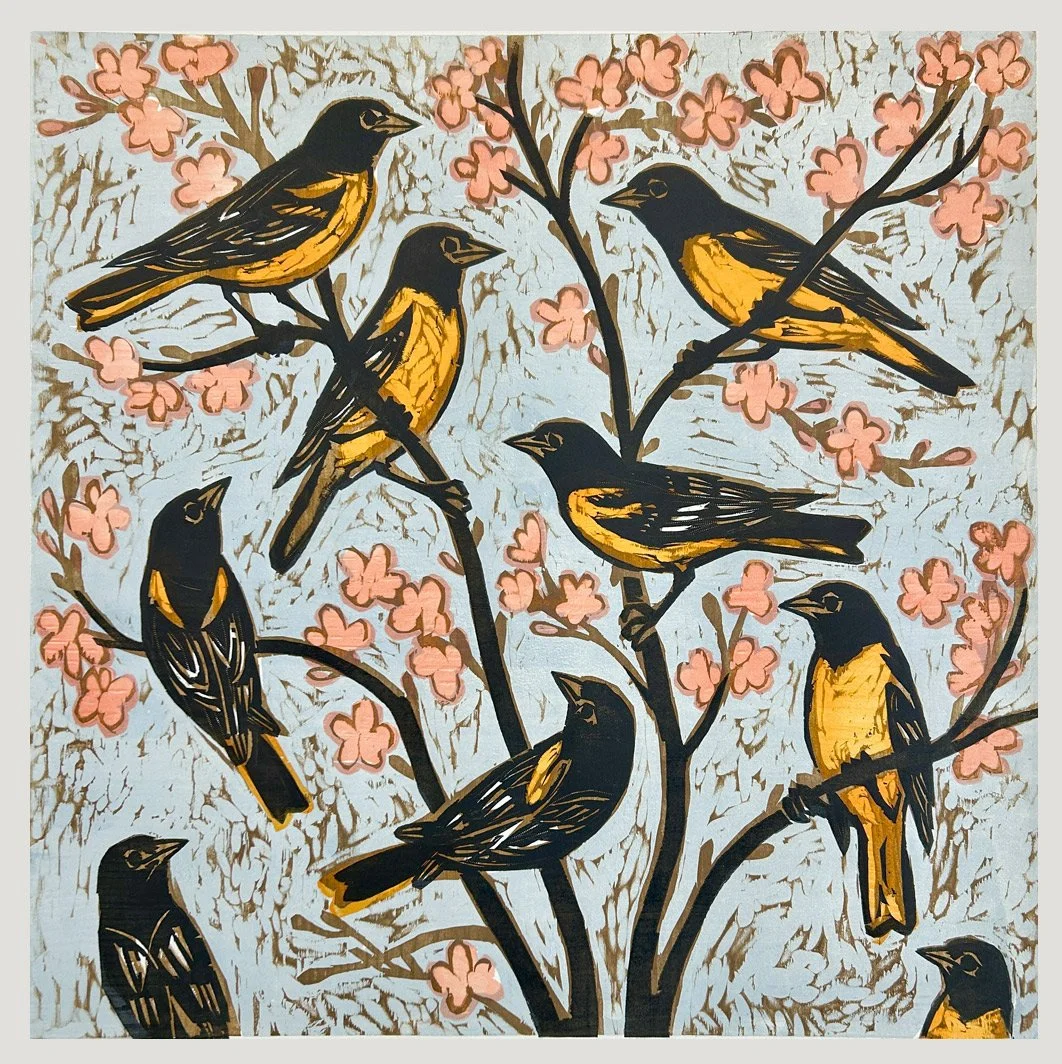 Orioles and Cherry Blossoms
