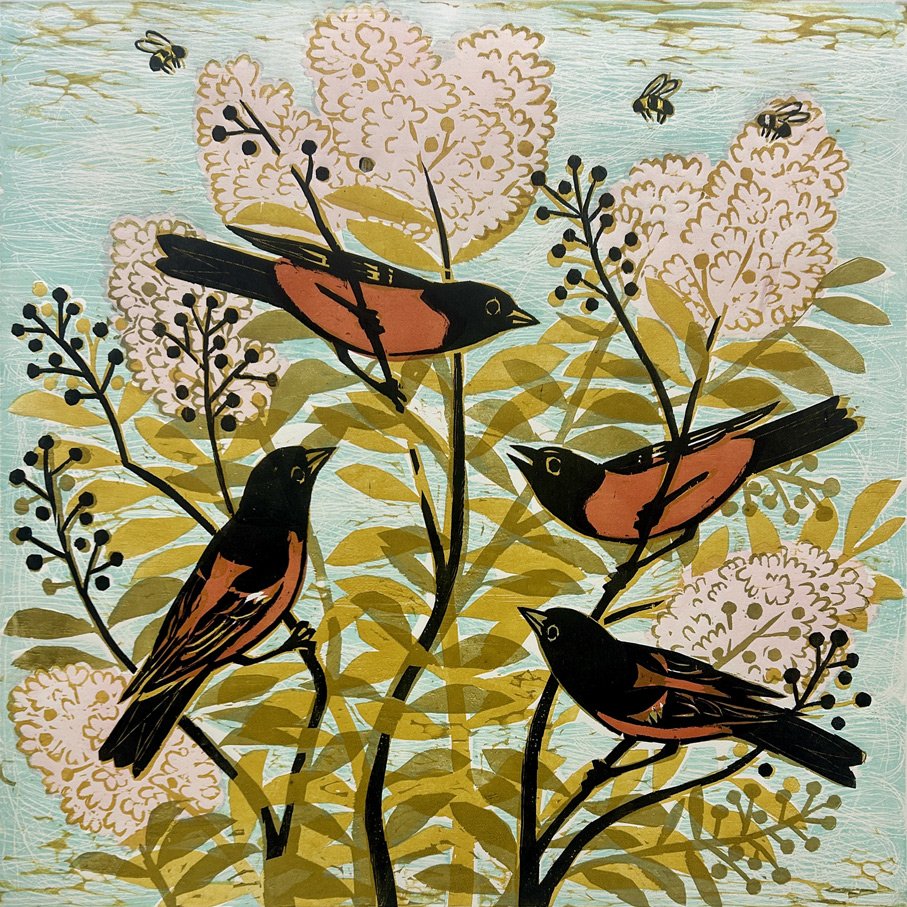 Orchard Orioles