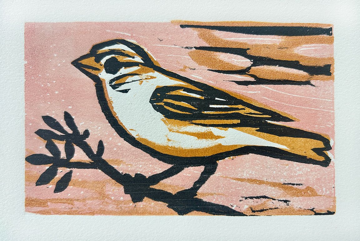 Sparrow Pink 2