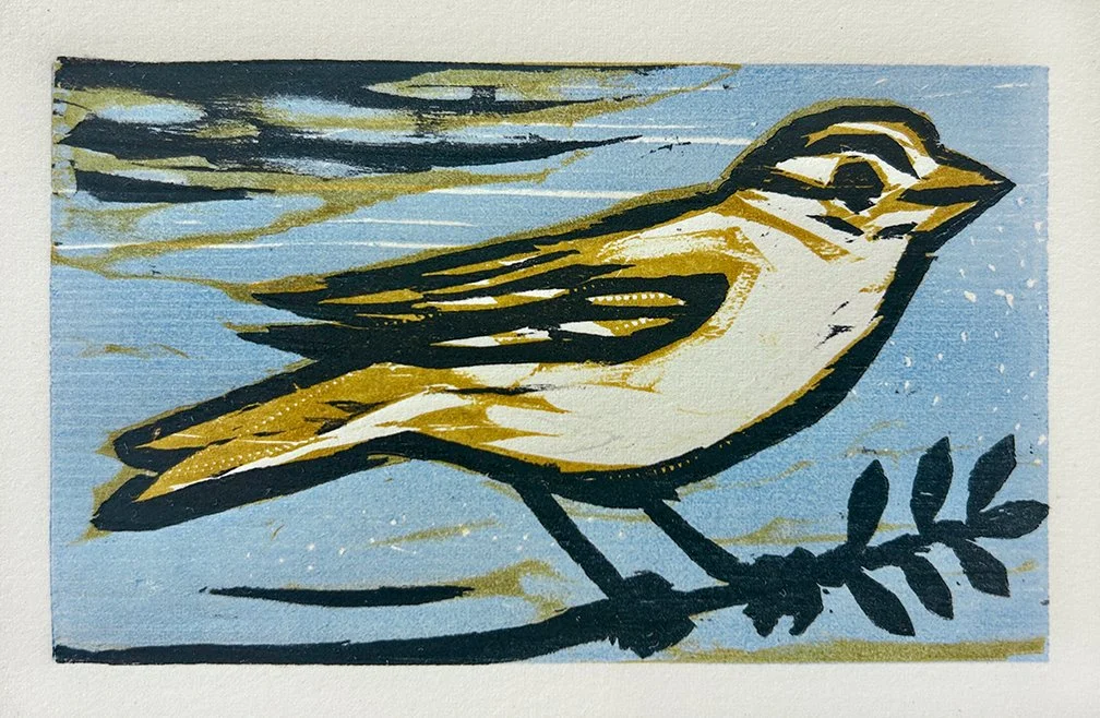 Sparrow Blue 1