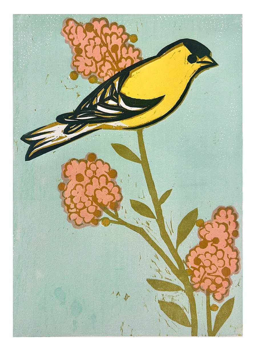 Goldfinch 1