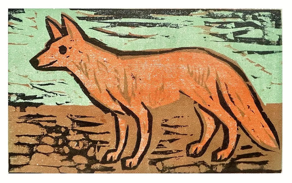 Coy Dog
