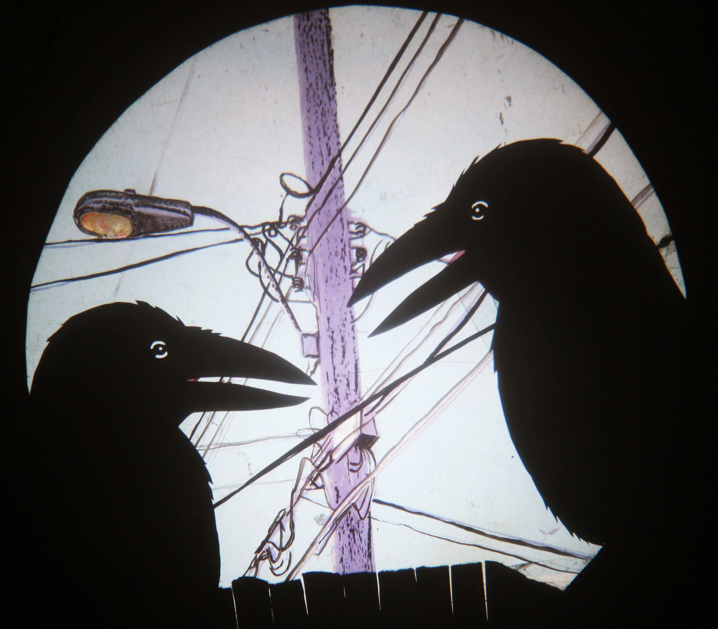 Caws & Effect Picture 3.jpg