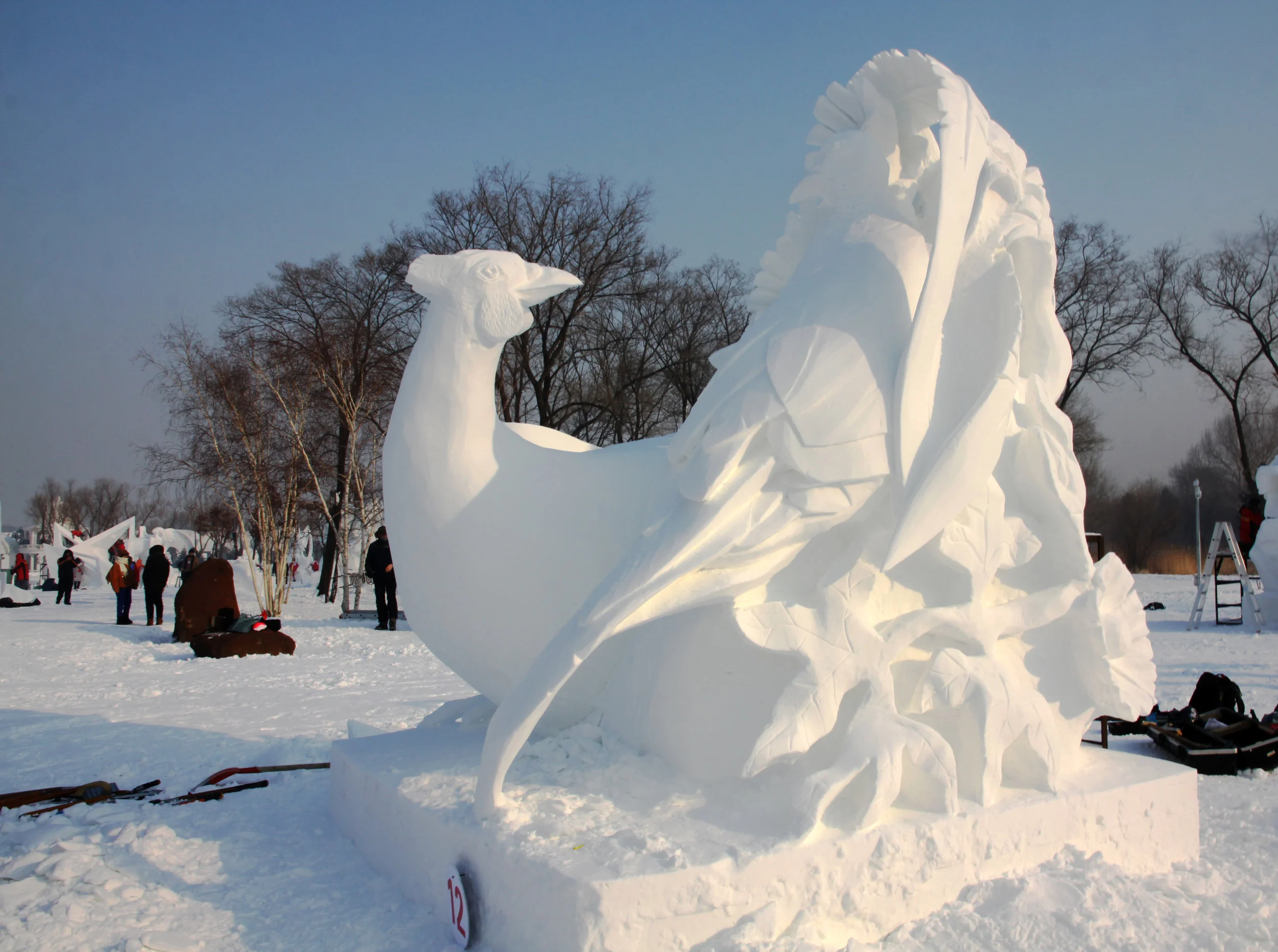 untitled_0130.jpg