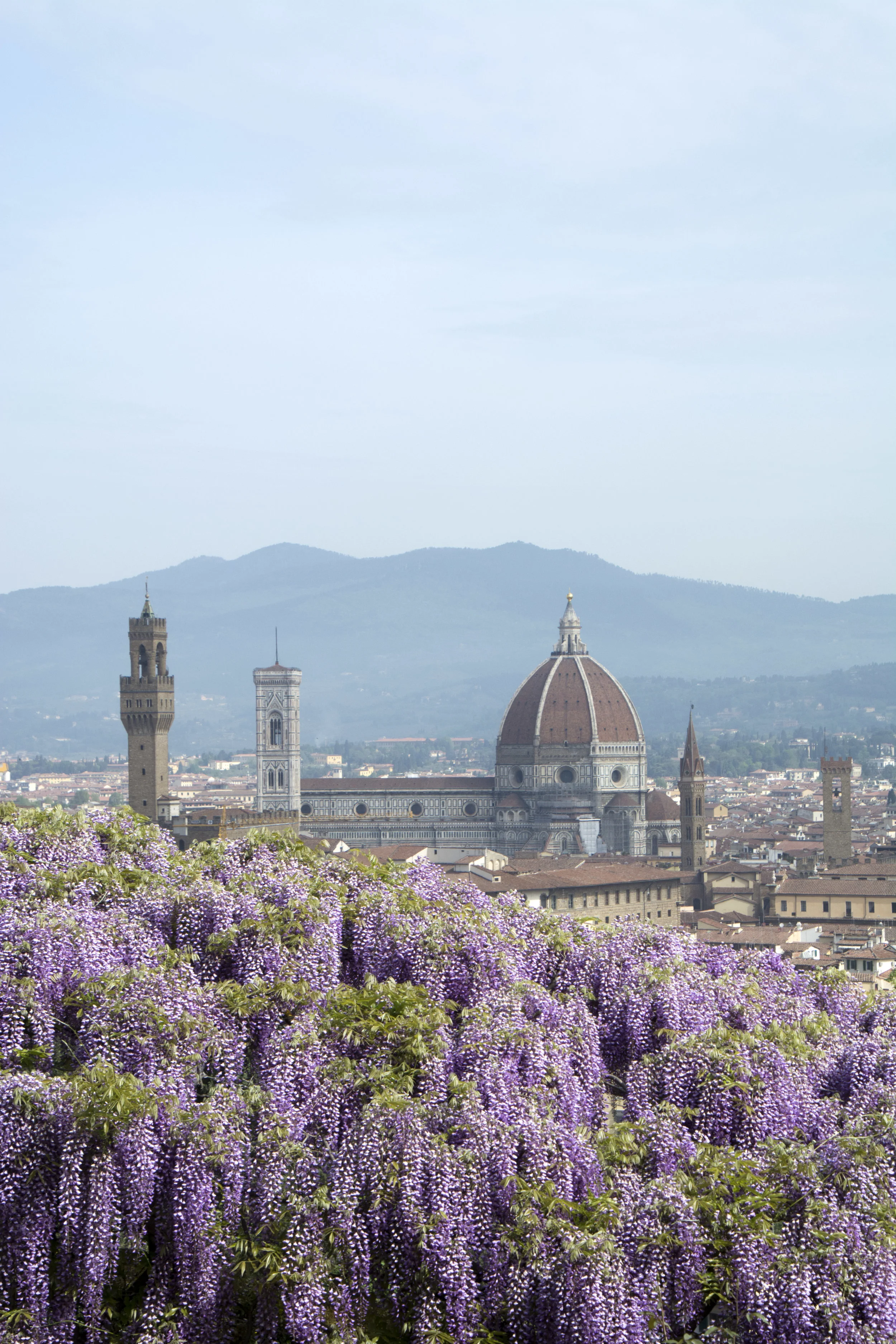 Florence in Bloom2.jpg