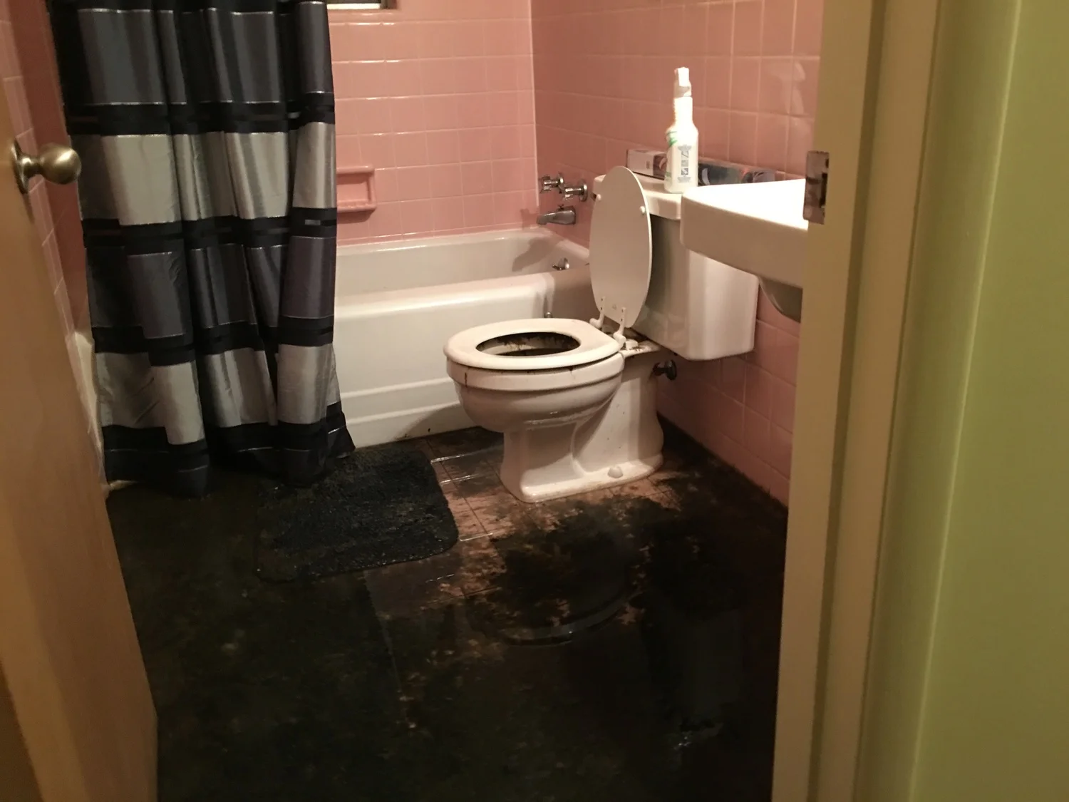   Oh no! &nbsp; Cat 3 water damage (sewage back-up)  