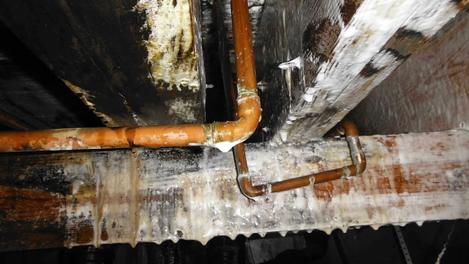   First treatment in a crawlspace  