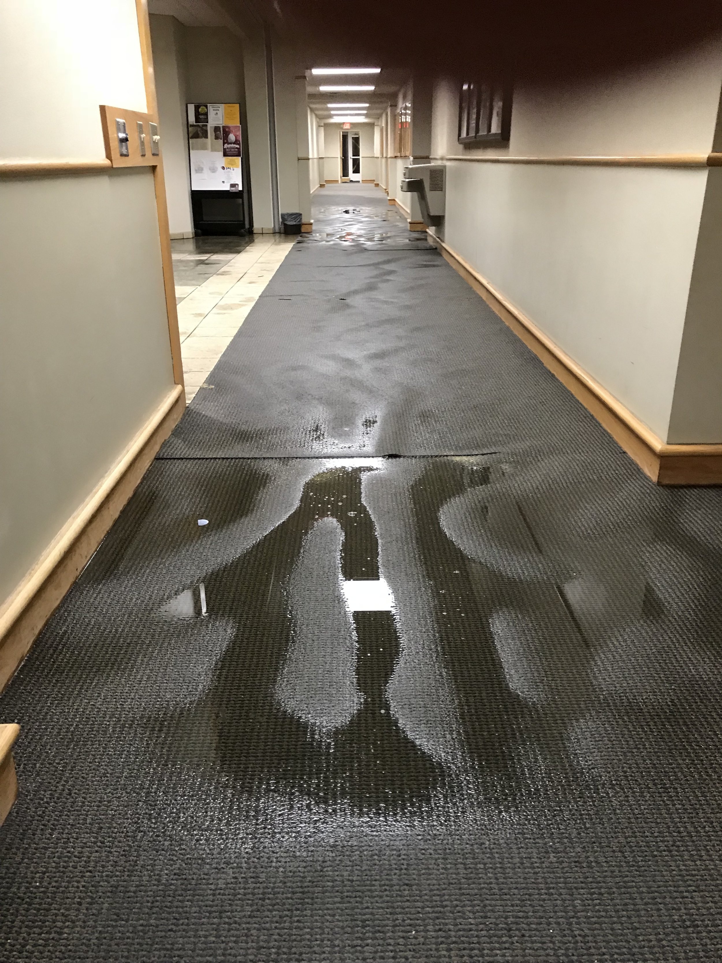   Water damage lifted carpet from the floor  