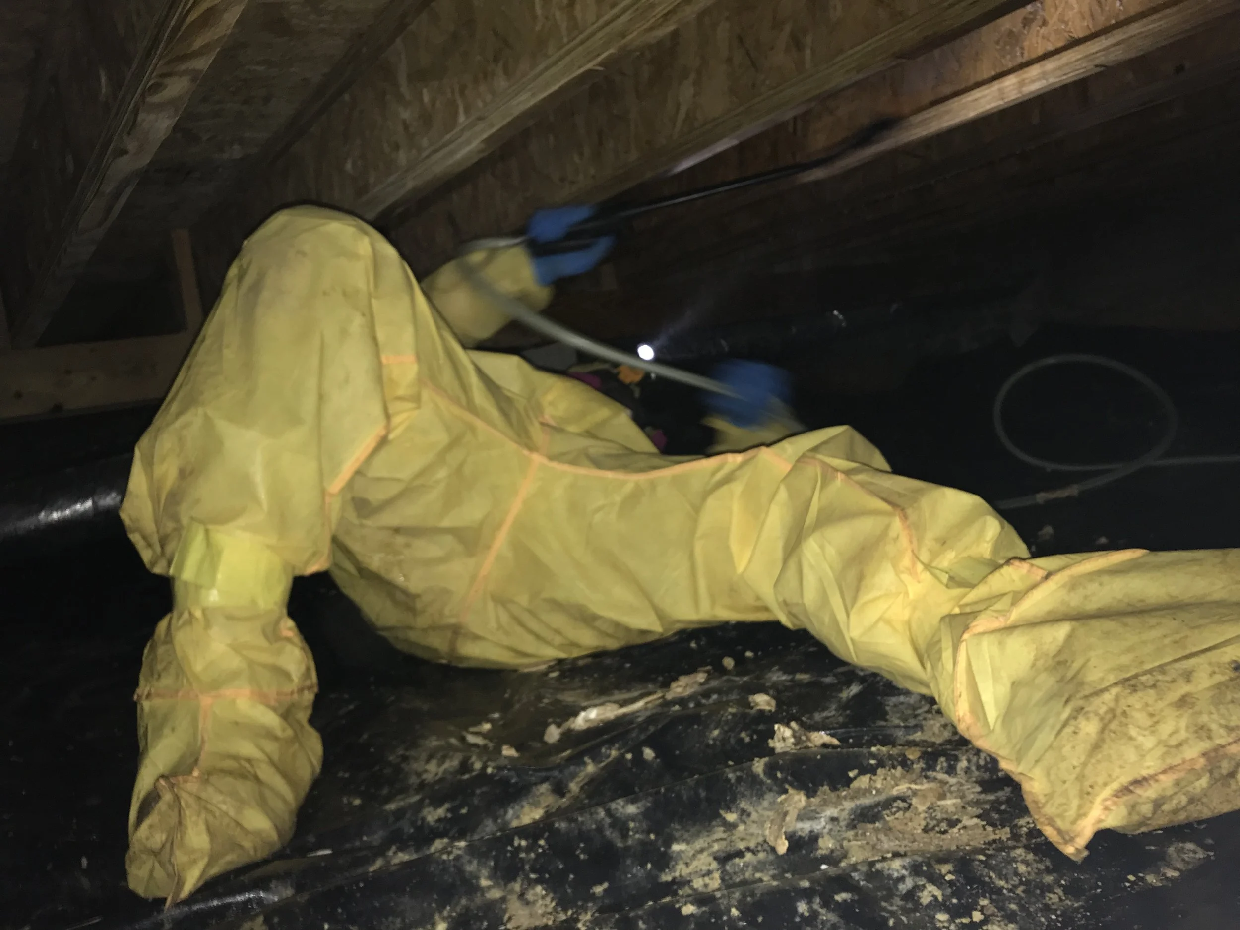 Treating a crawlspace