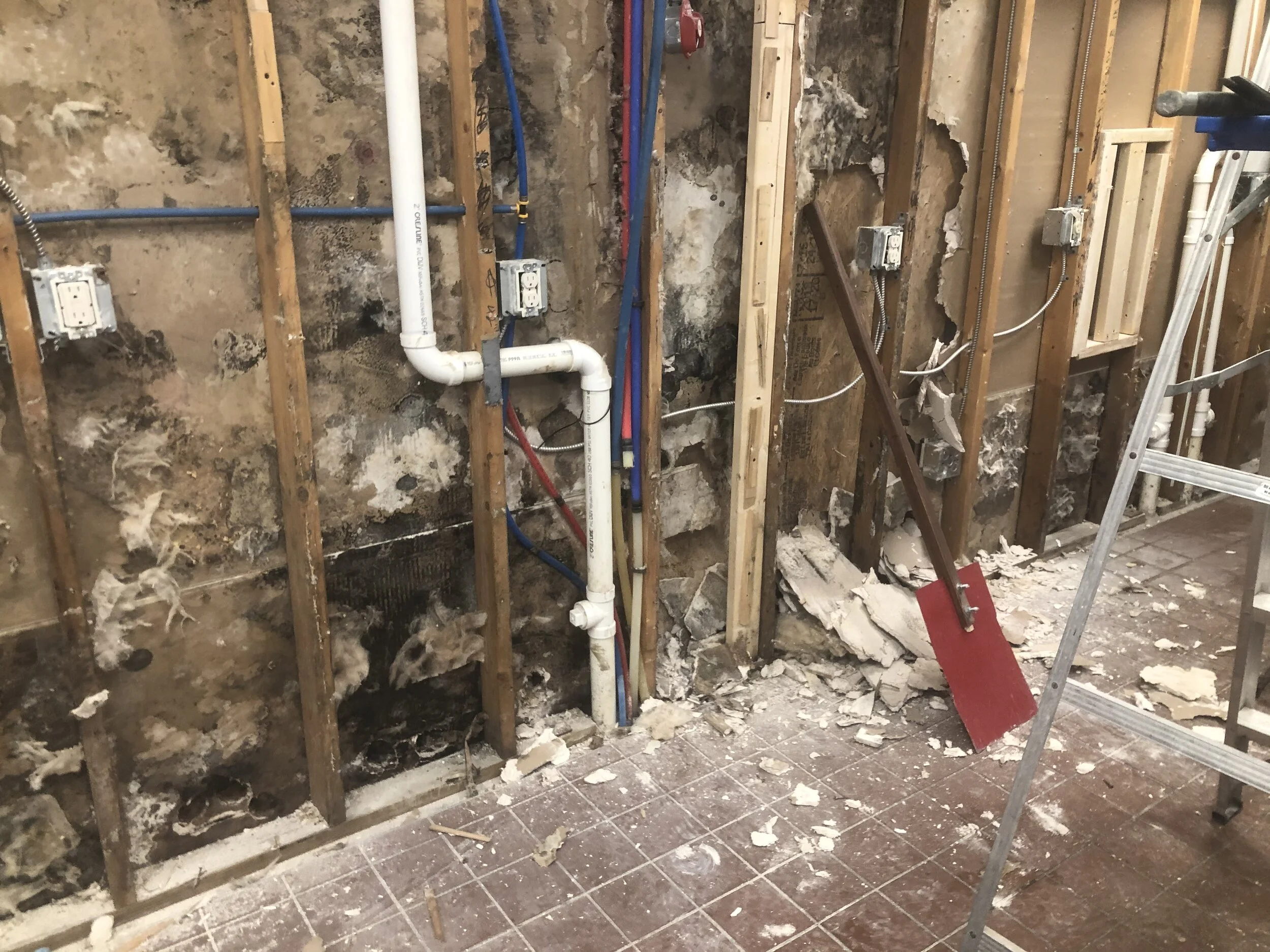   FRP board removed revealed contaminated drywall  