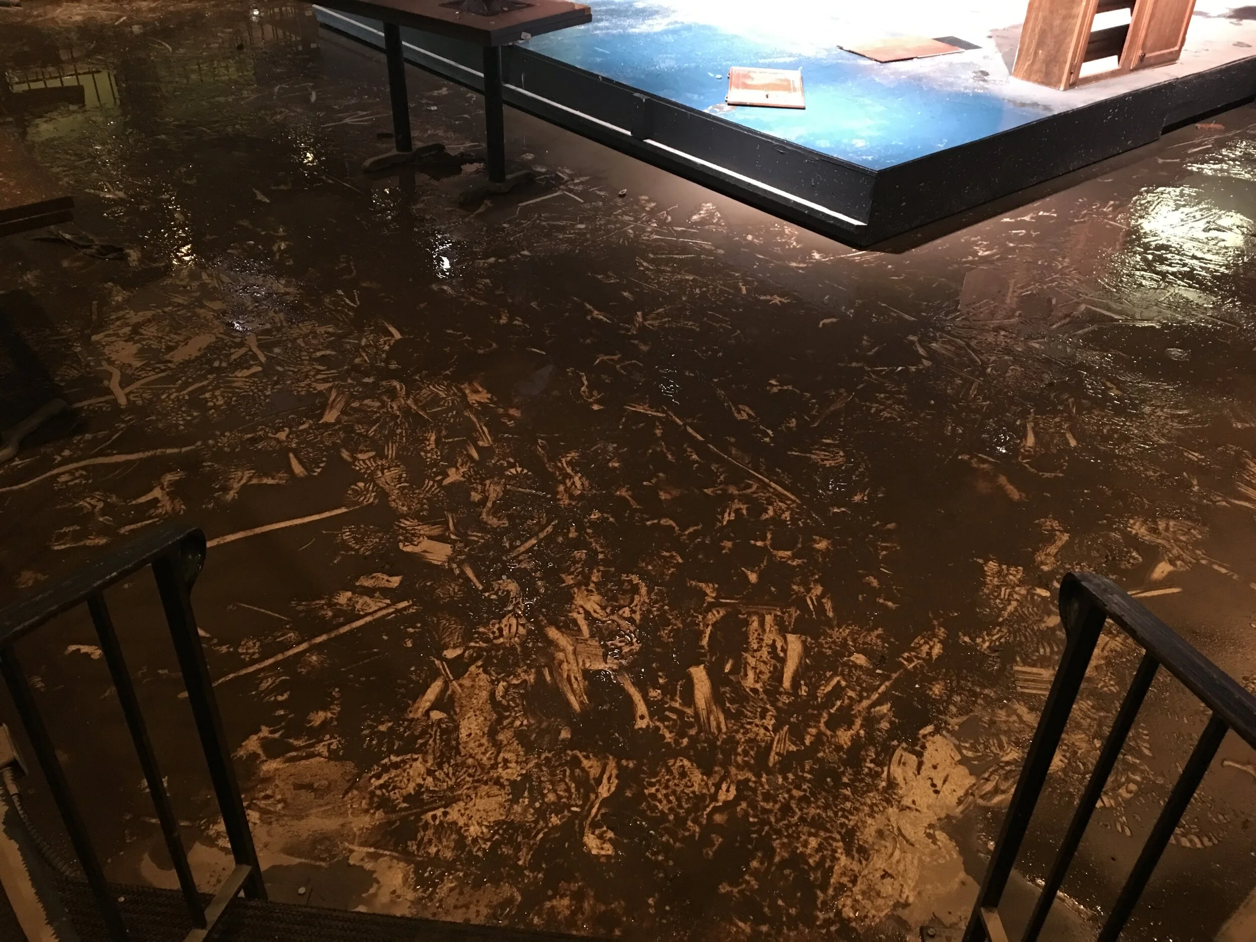   Floodwater muck will be pressure washed, extracted, dried  and treated with anti-microbial   