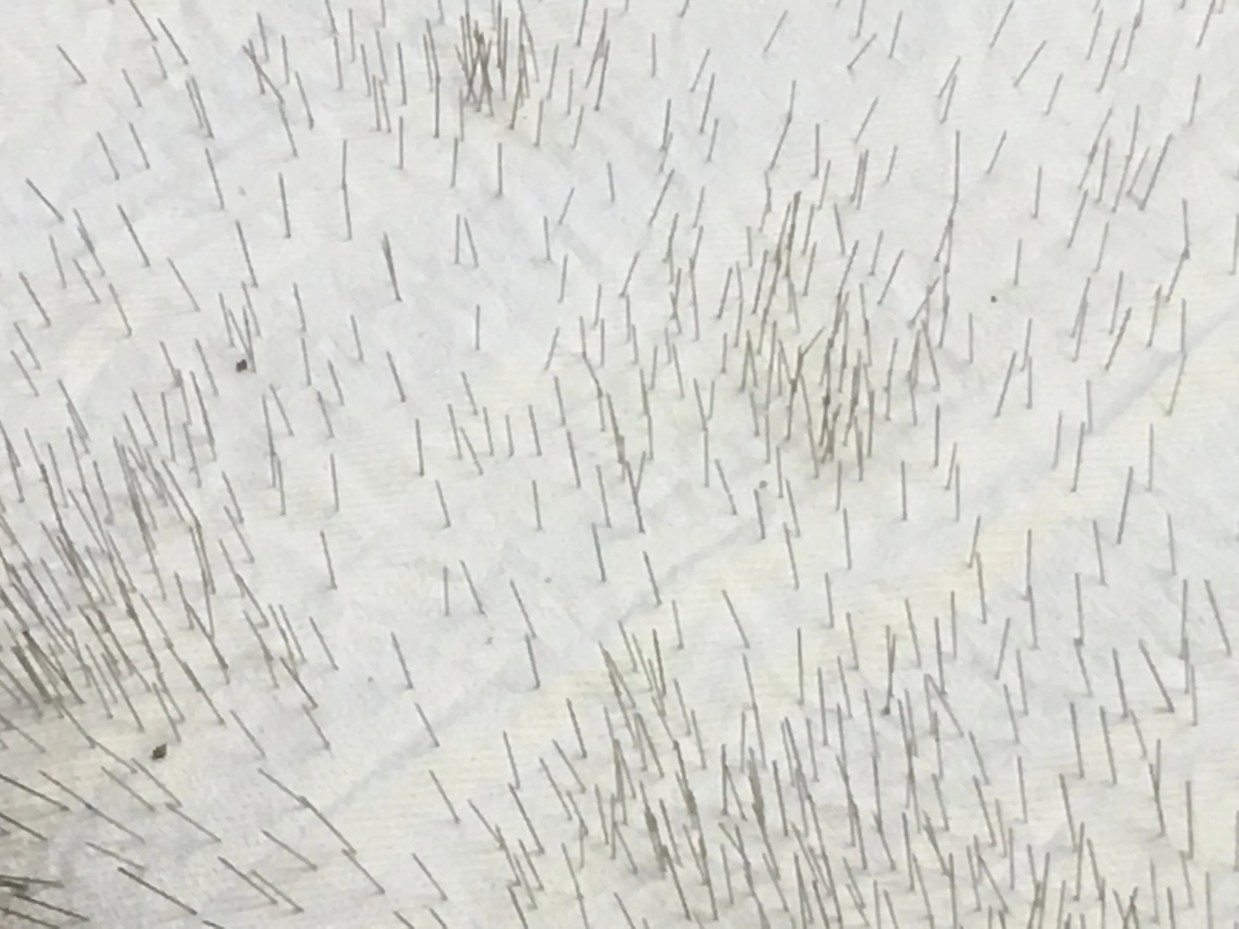 image4.jpeg