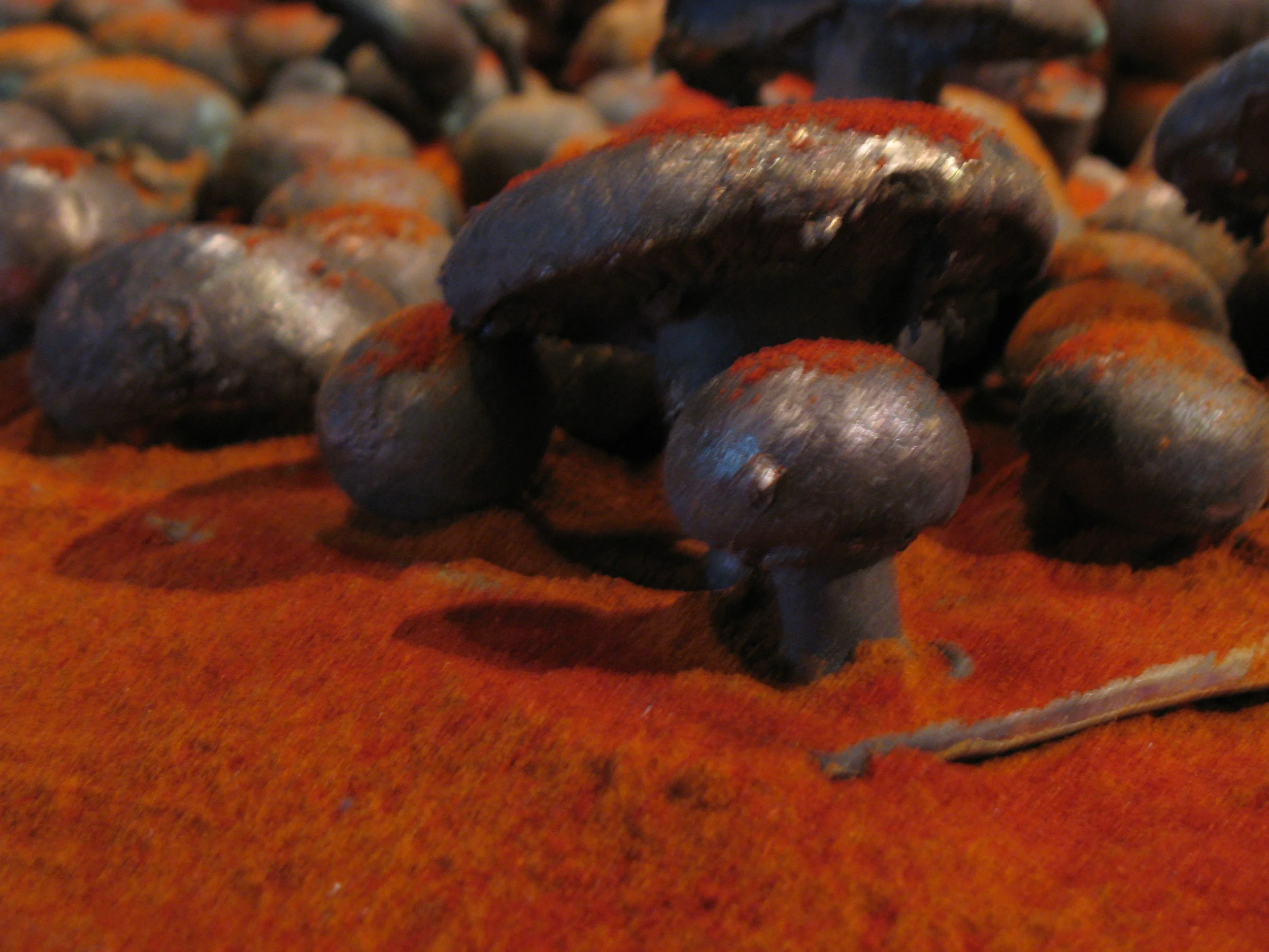 image11.jpeg