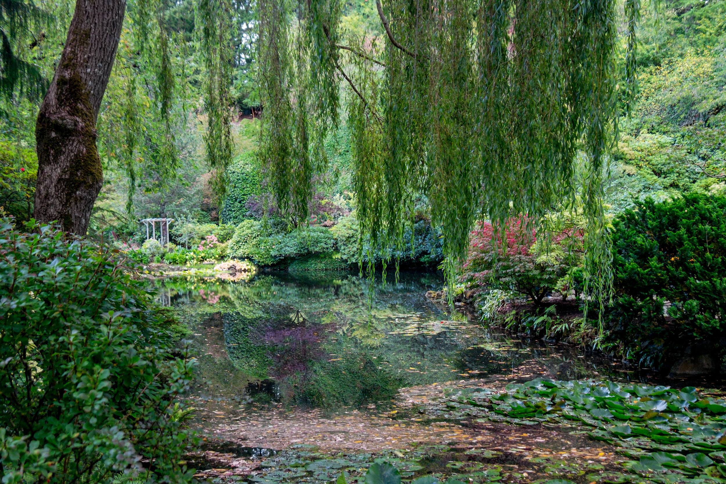 The Butchart Gardens, British Columbia, Canada Fuijfilm X-T1 2017-10-07 DSCF5760.jpg