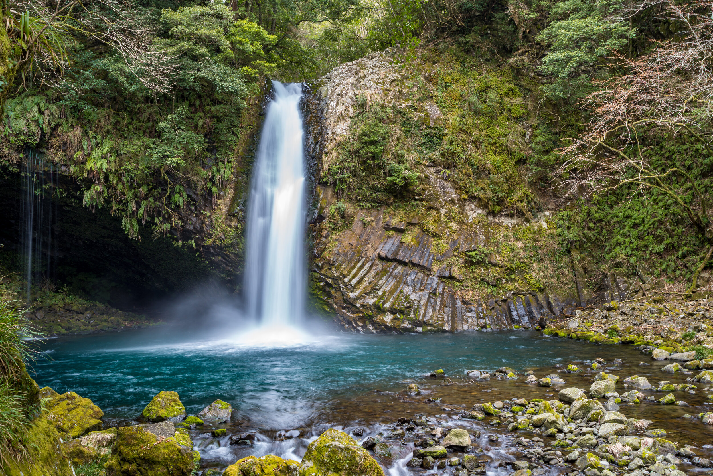 Jōren No Taki - Joren Falls, Izu, Shizuoka, Japan 浄蓮の滝 静岡 Nikon D600 2013-03-11 DSC_4876.jpg