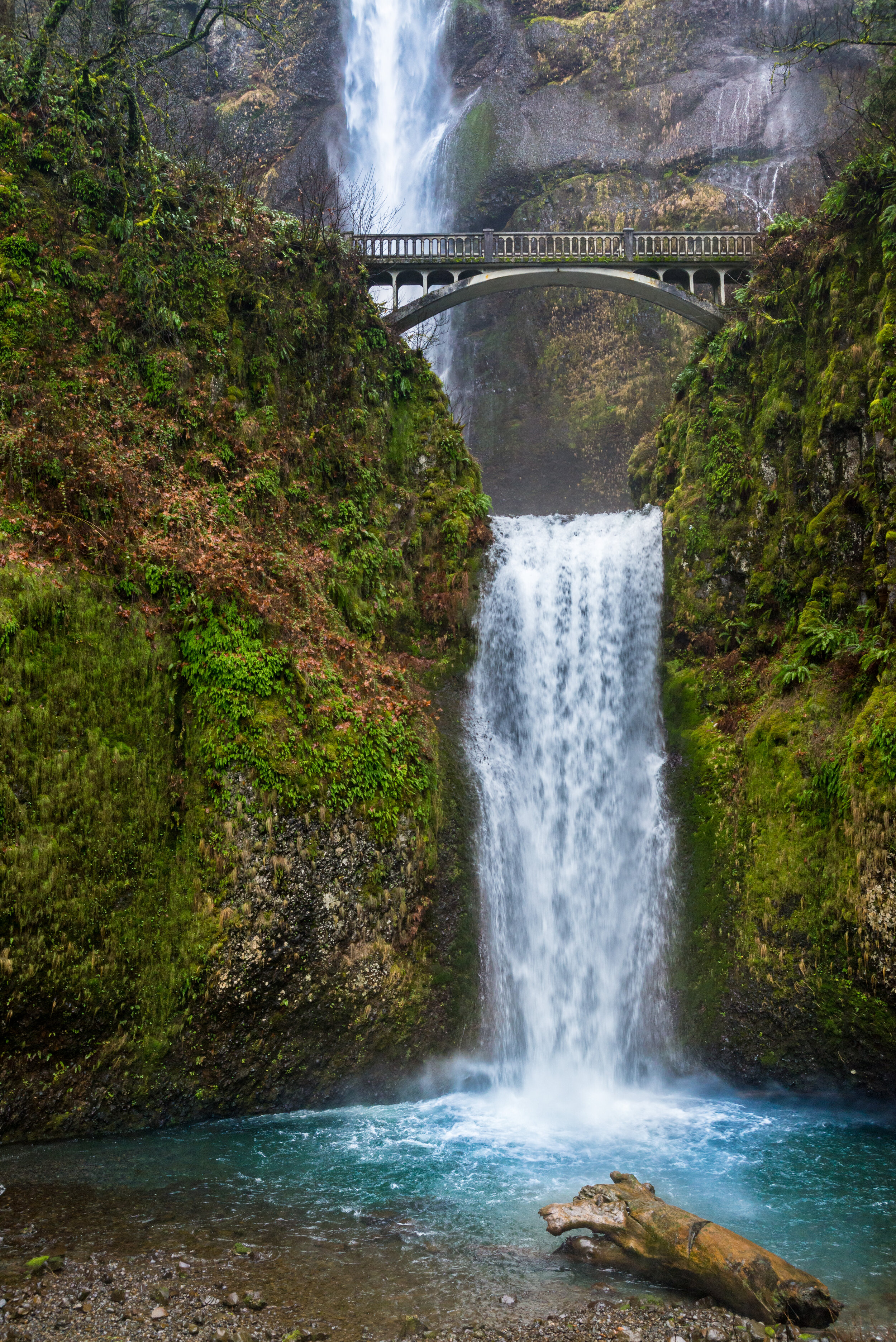 Multnomah Falls Trail, Multnomah County, Oregon, USA Nikon D600 2012-12-24 DSC_3043.jpg