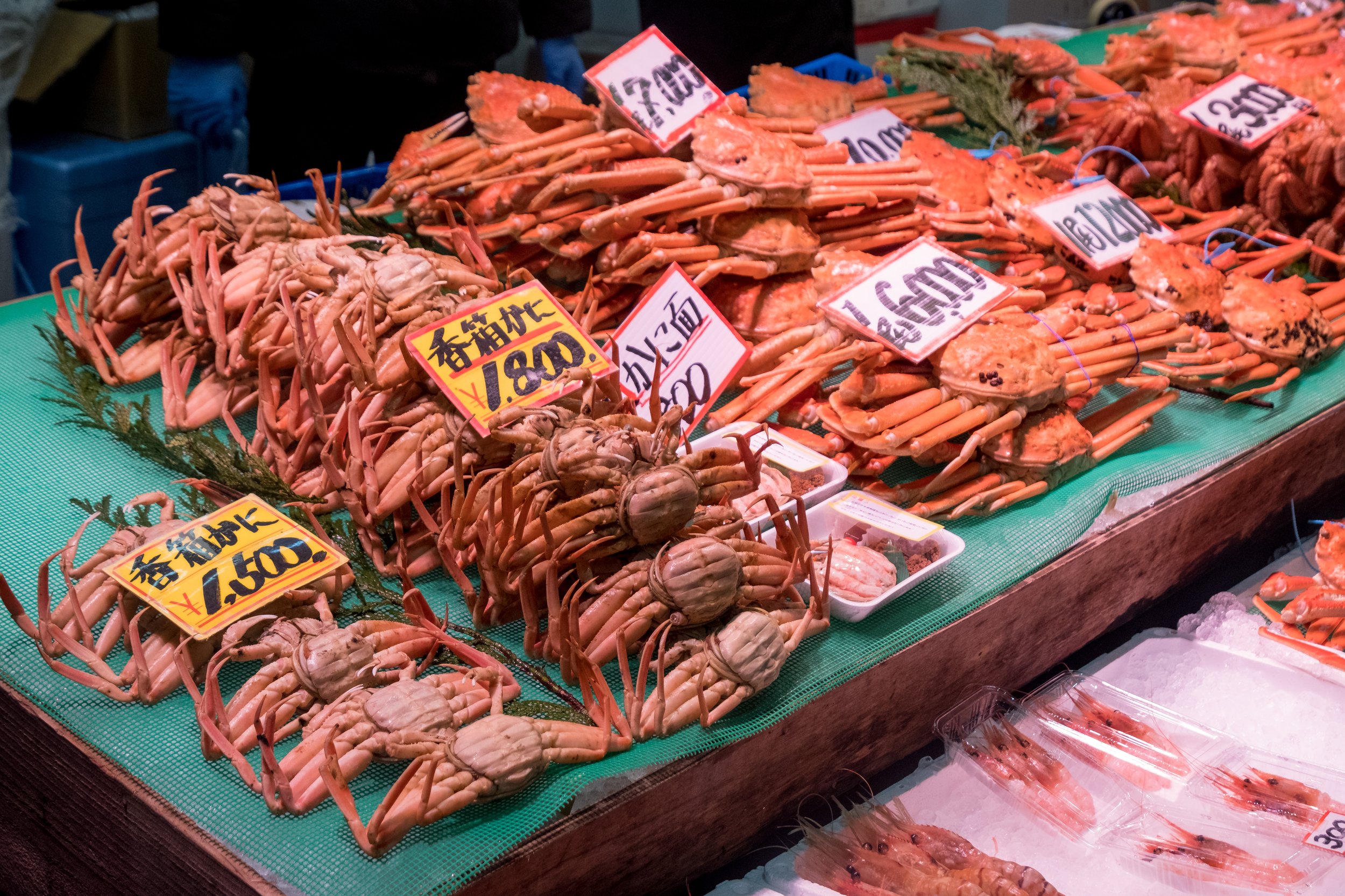 Crabs 香箱ガニ, Omicho Market, Kanazawa, Ishikawa, Japan 5599.jpg