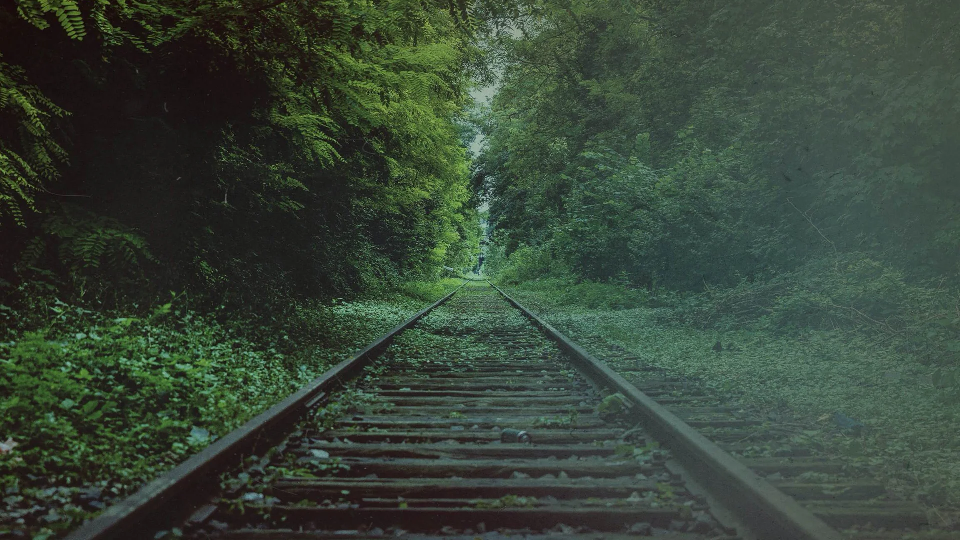 Tracks Through Forest Worship Background.jpg