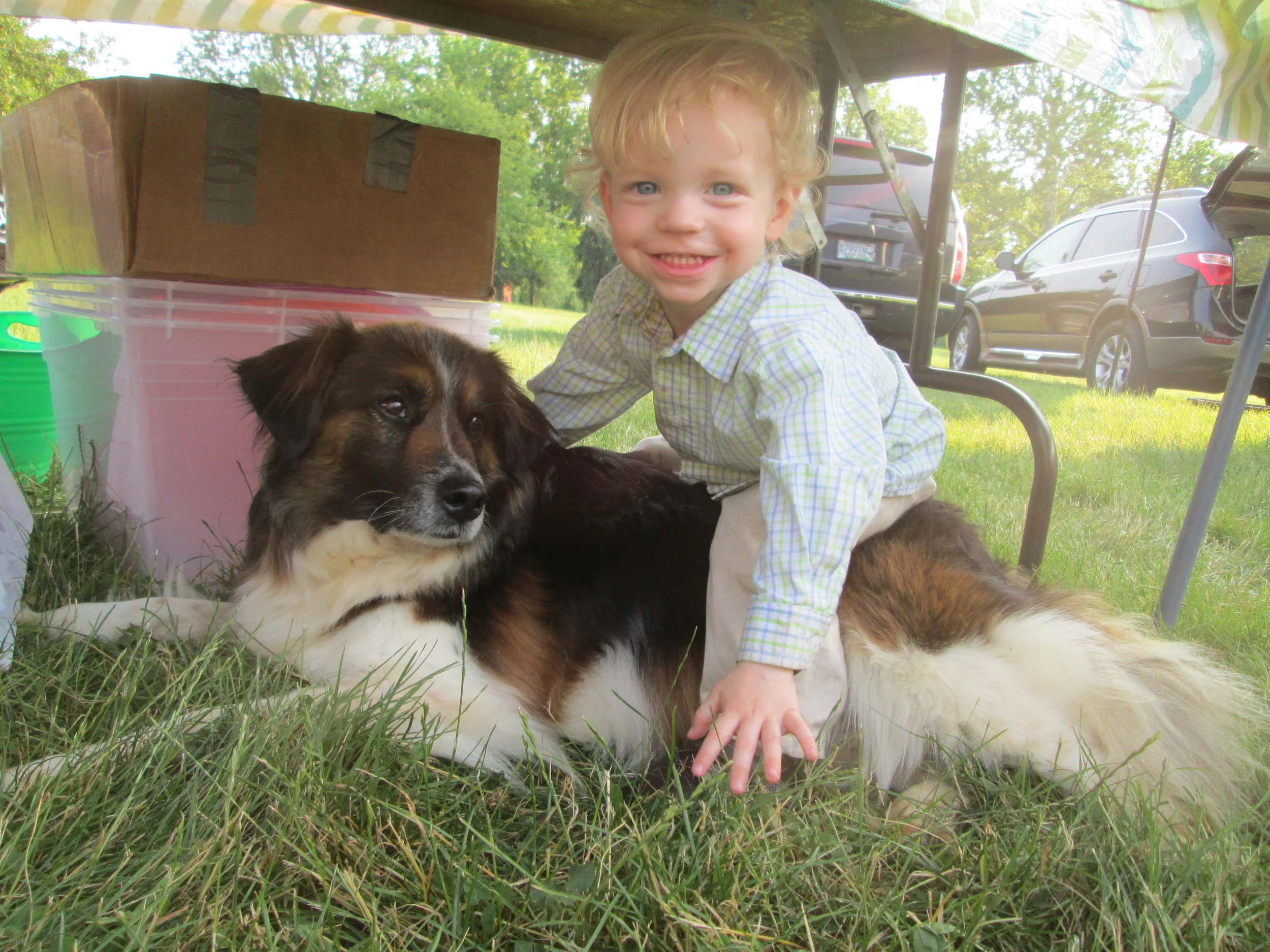 Marty Jr. from M&M Creek Valley Farm loves Jinksee Dog!