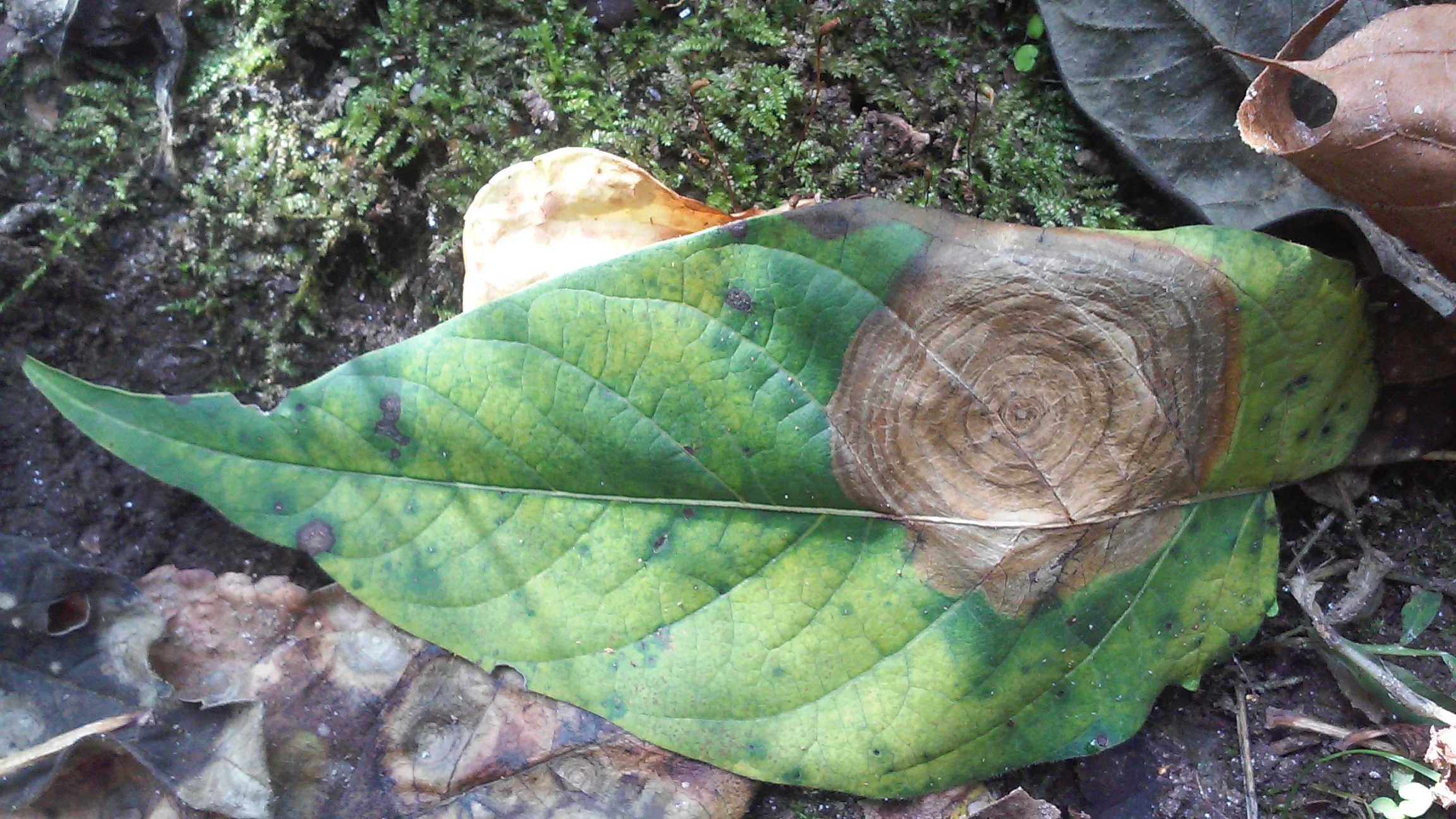 20170926_151743.jpg