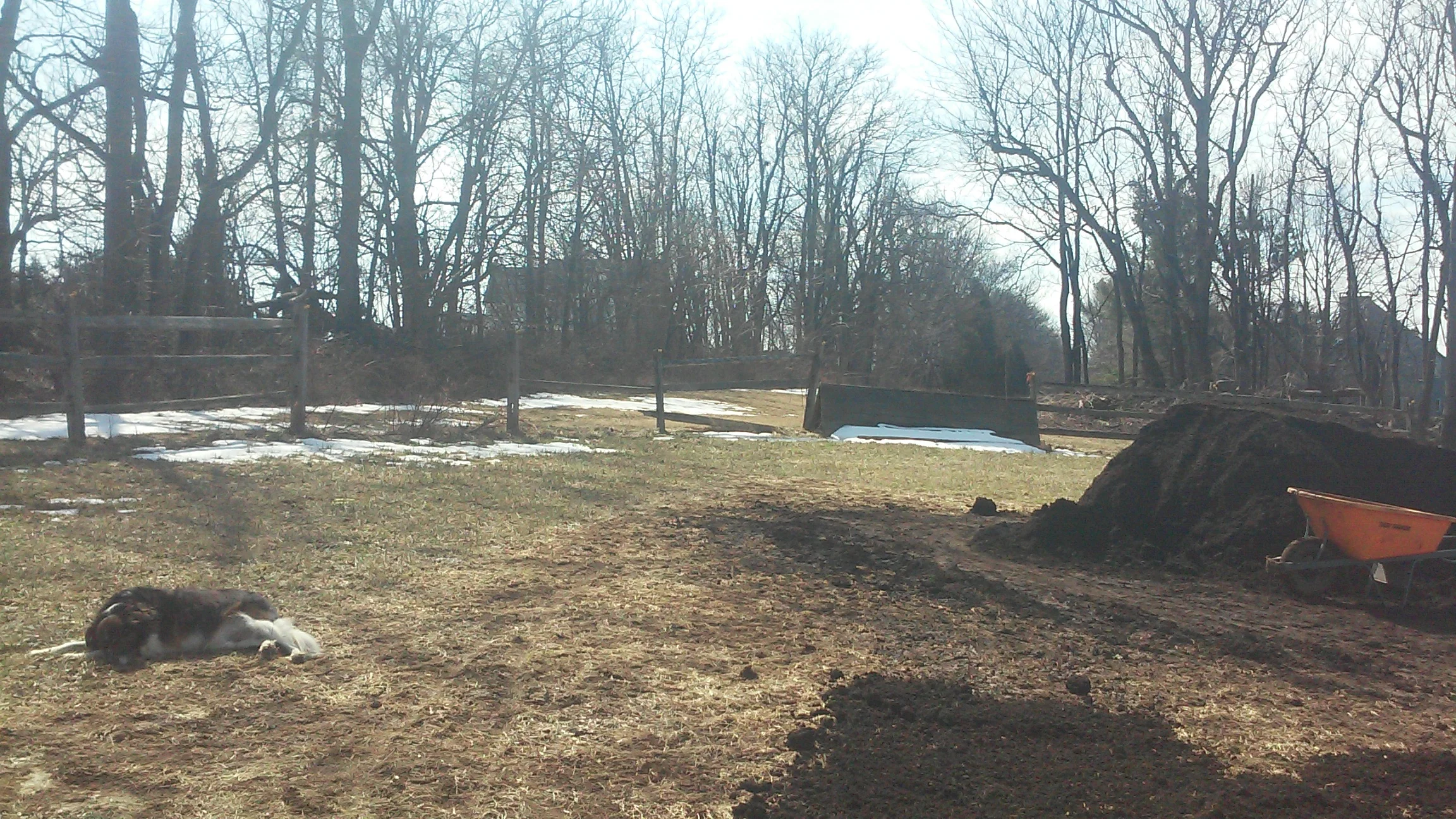 20190314_134159.jpg