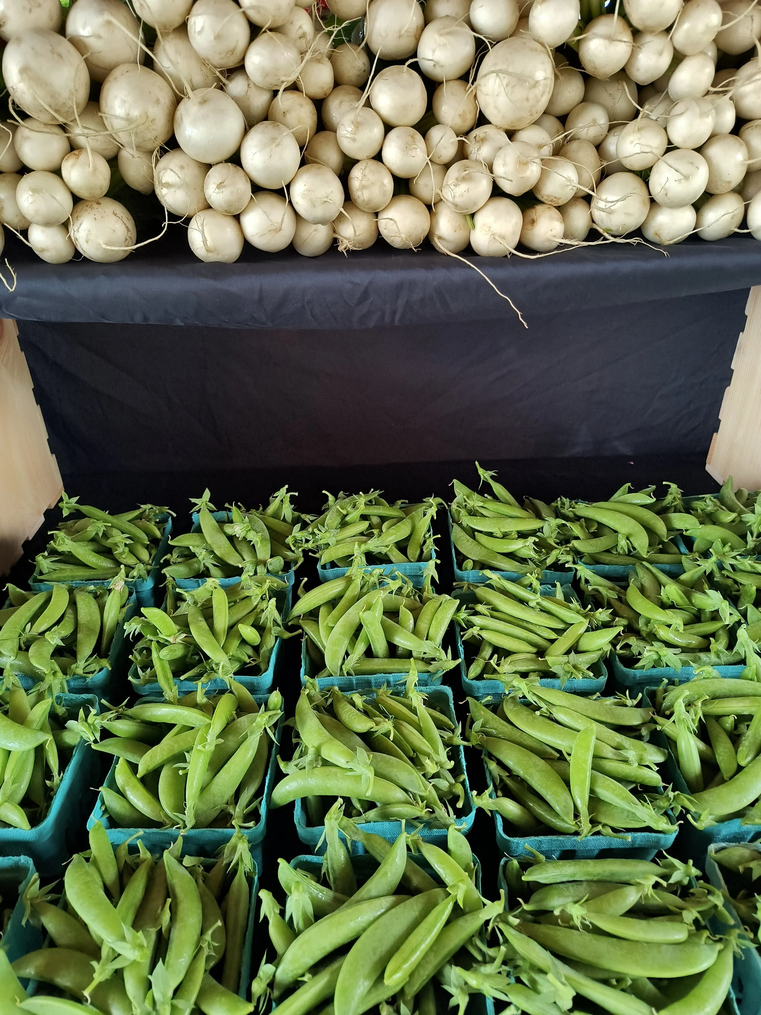 1000017624 - Copy.jpg