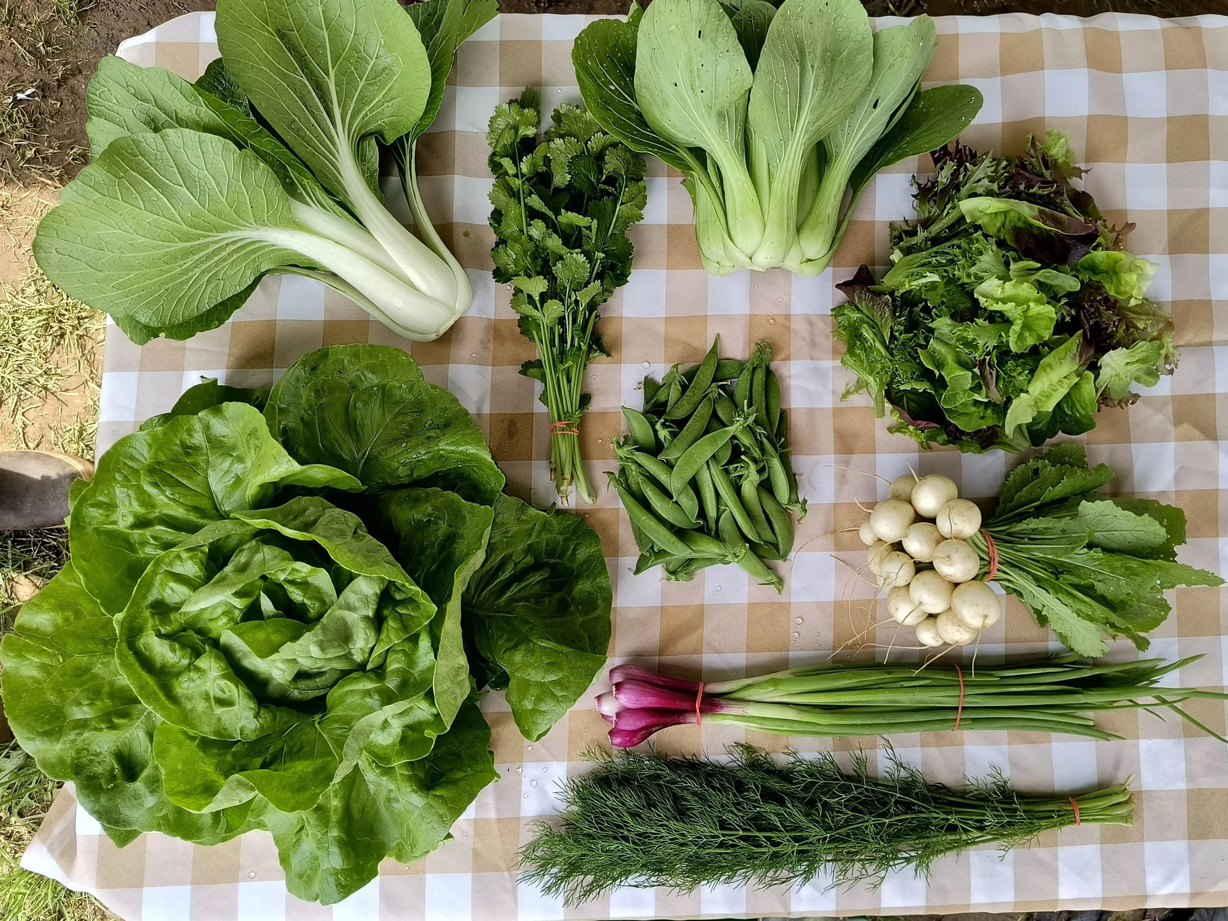 1000017704 - Copy.jpg