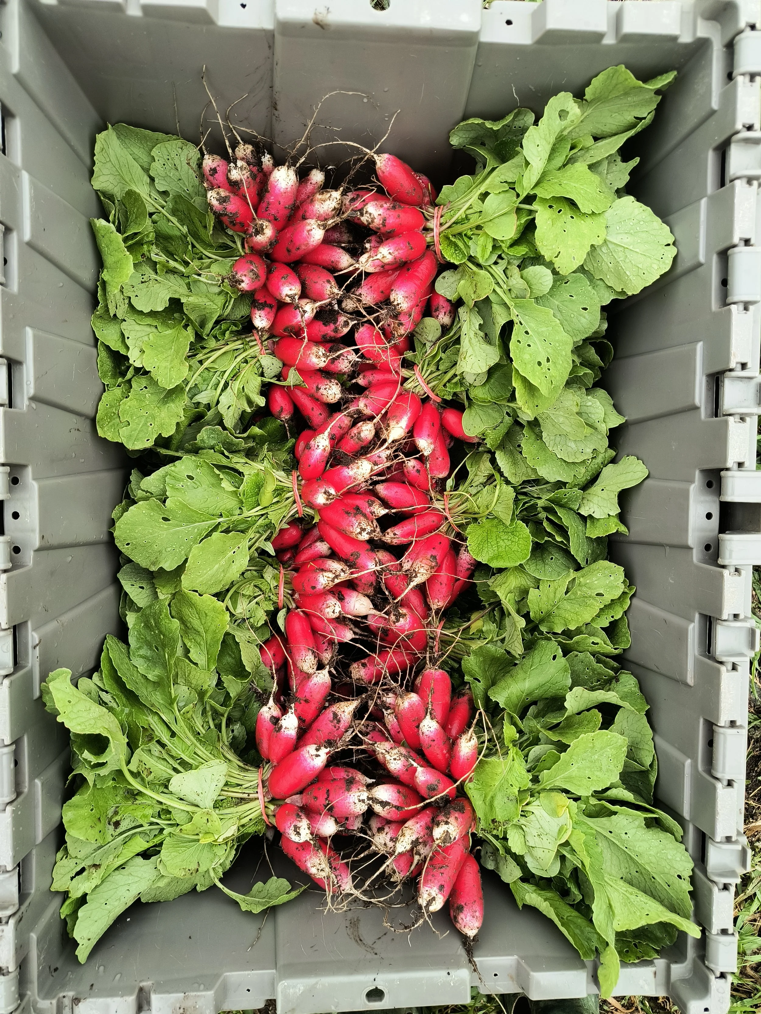 1000017919 - Copy.jpg