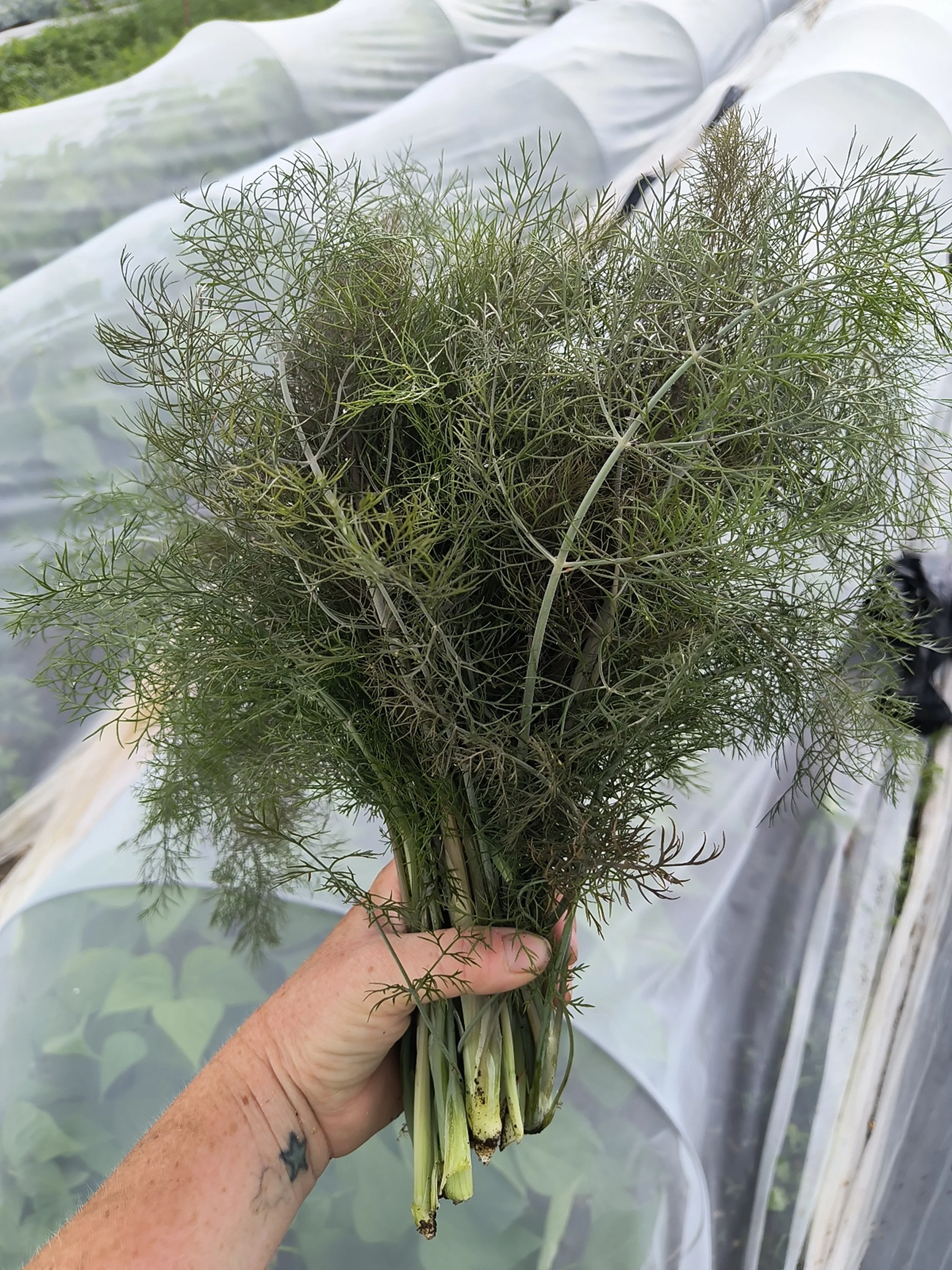 1000019010 - Copy.jpg