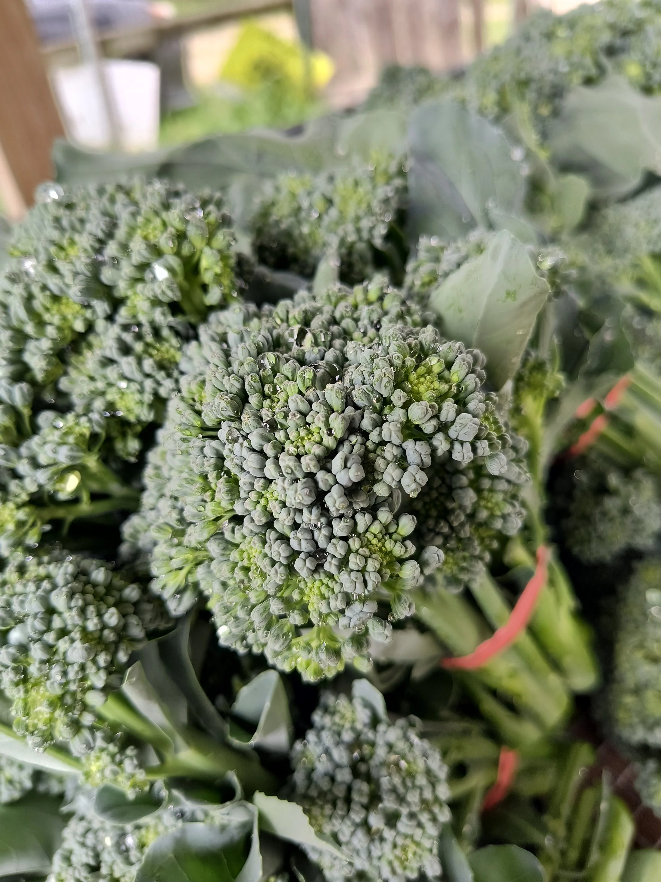 1000019089 - Copy.jpg