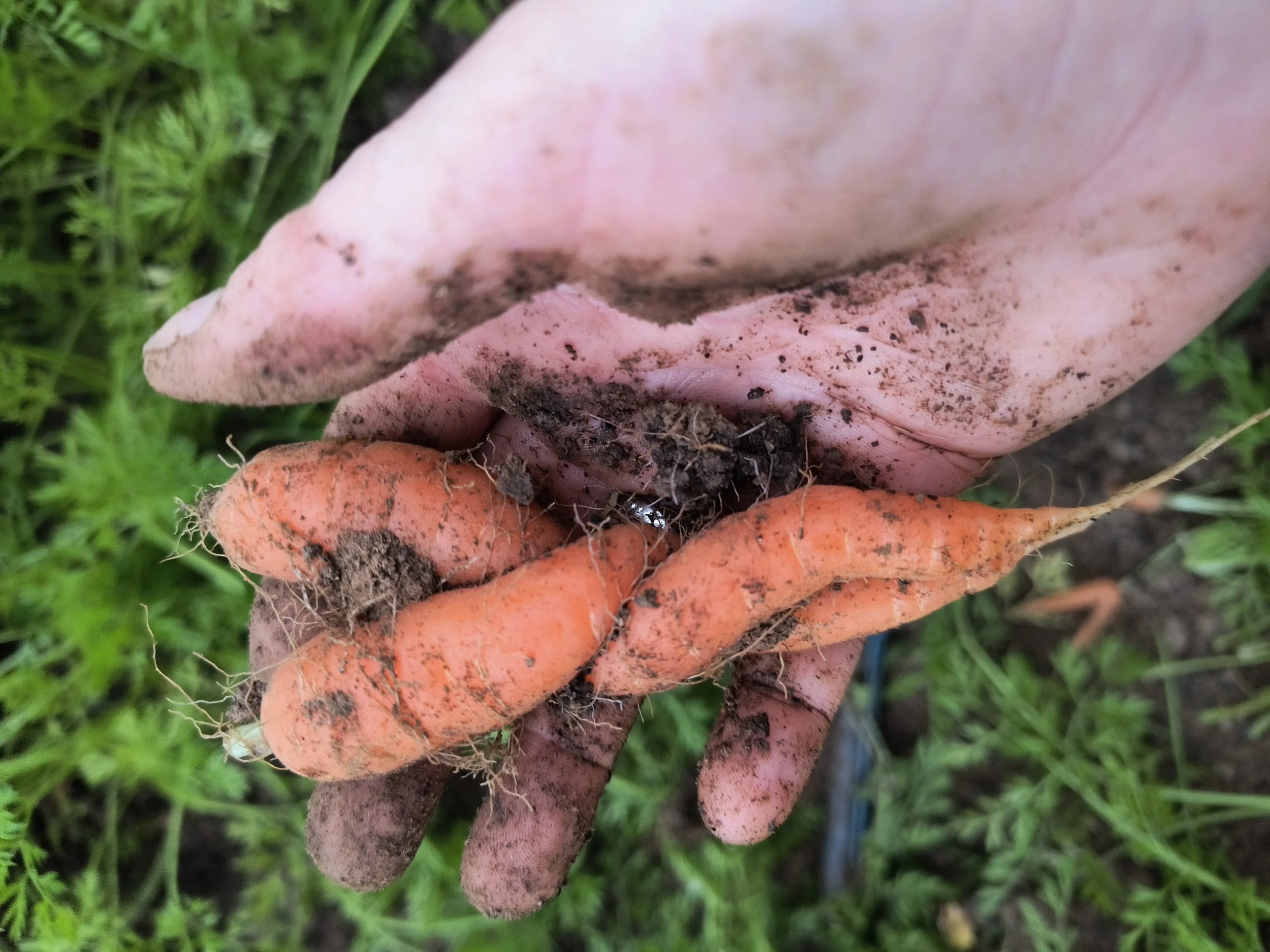 1000019110 - Copy.jpg