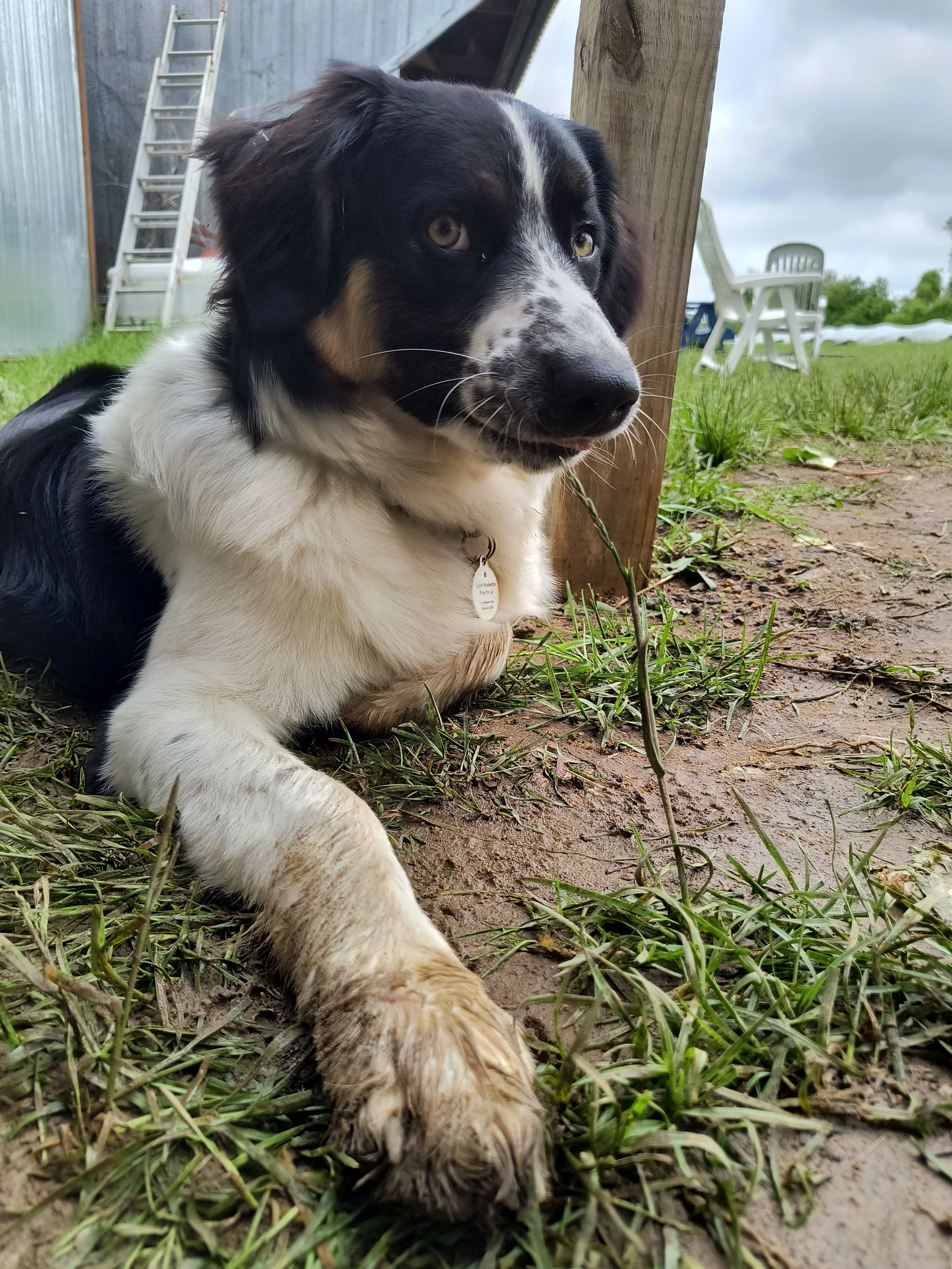 1000017605 - Copy.jpg