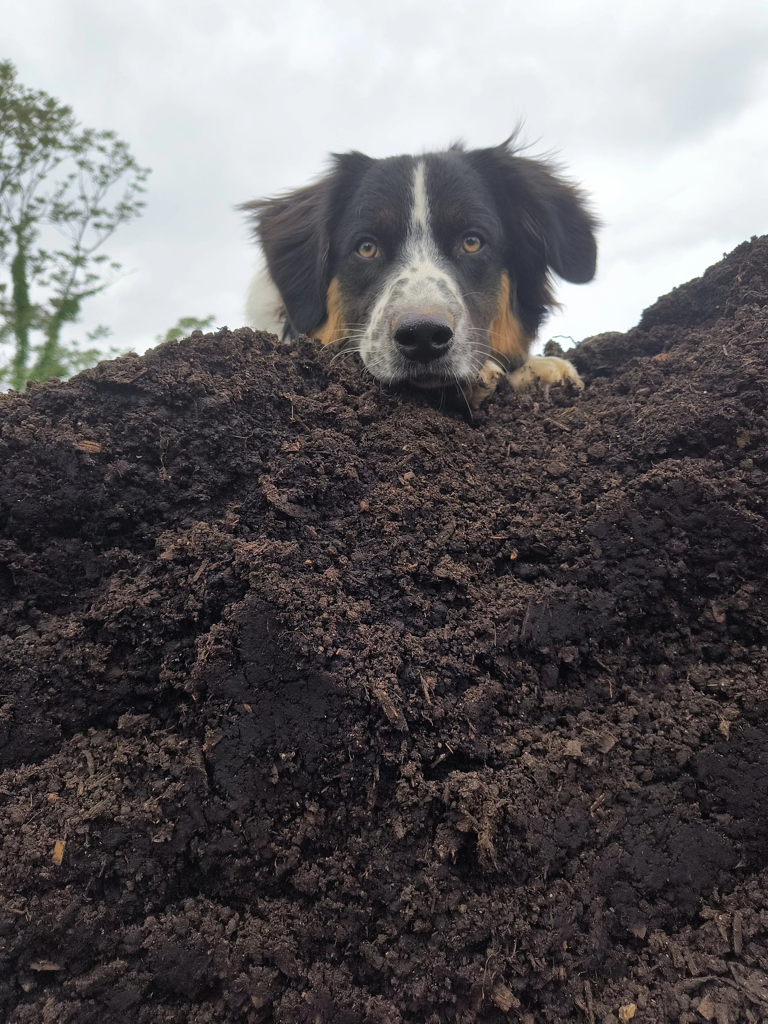 1000017672 - Copy.jpg