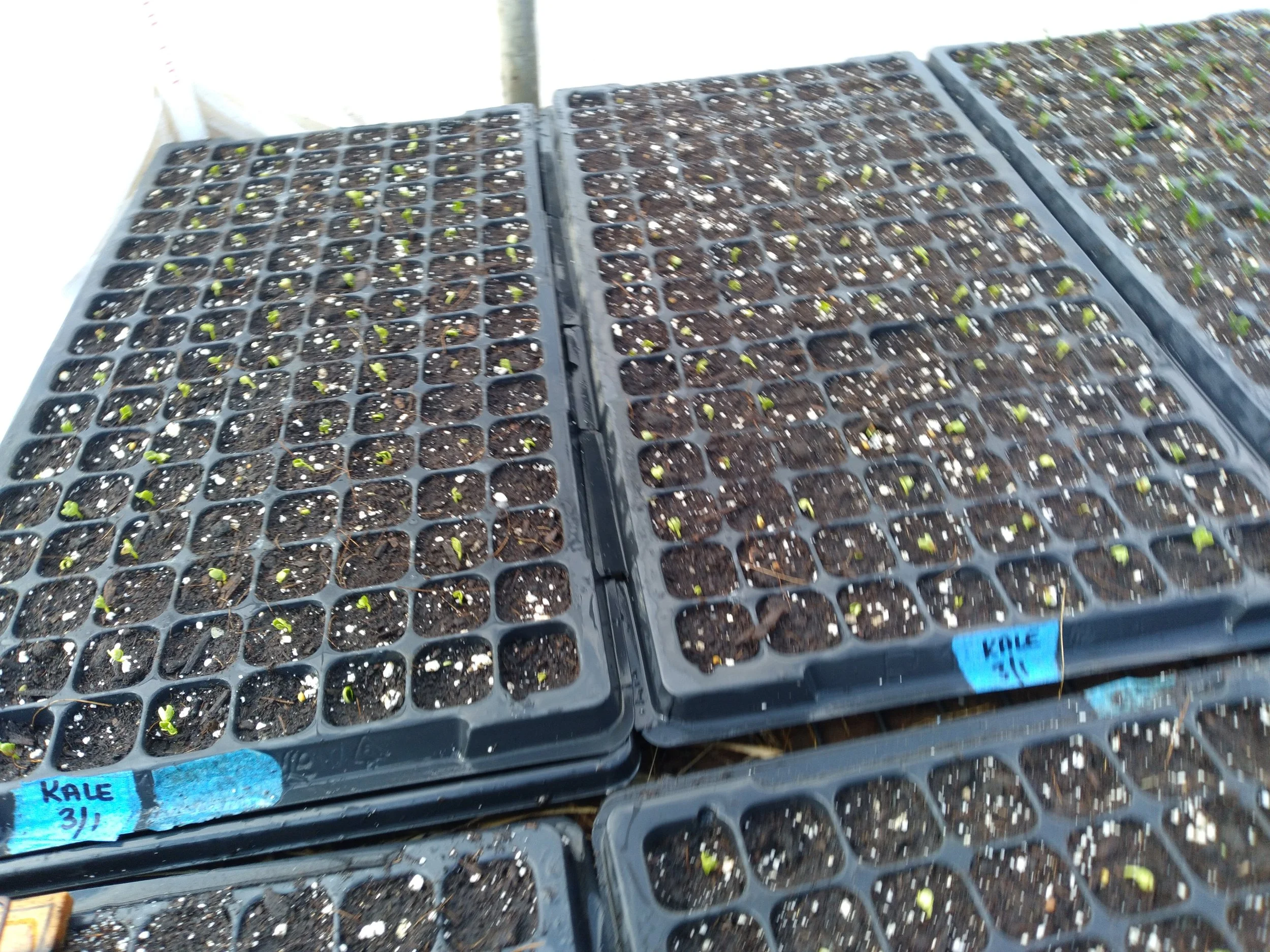 20250309_145946 - Copy.jpg